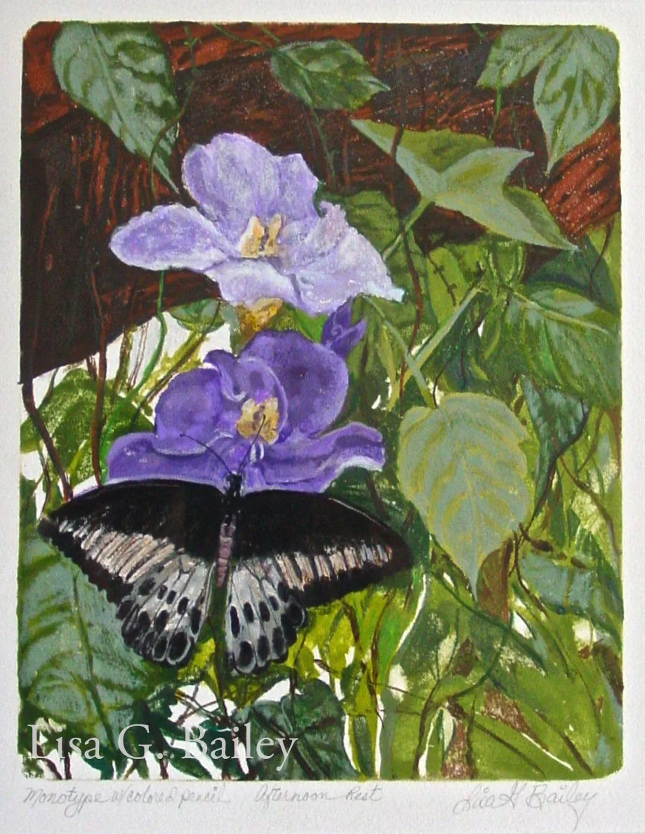 Afternoon Rest - Monotype