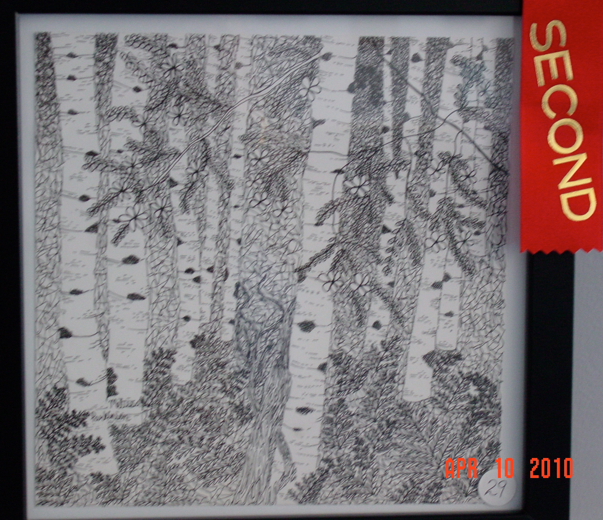 Birch Trees by Melissa Parkinson