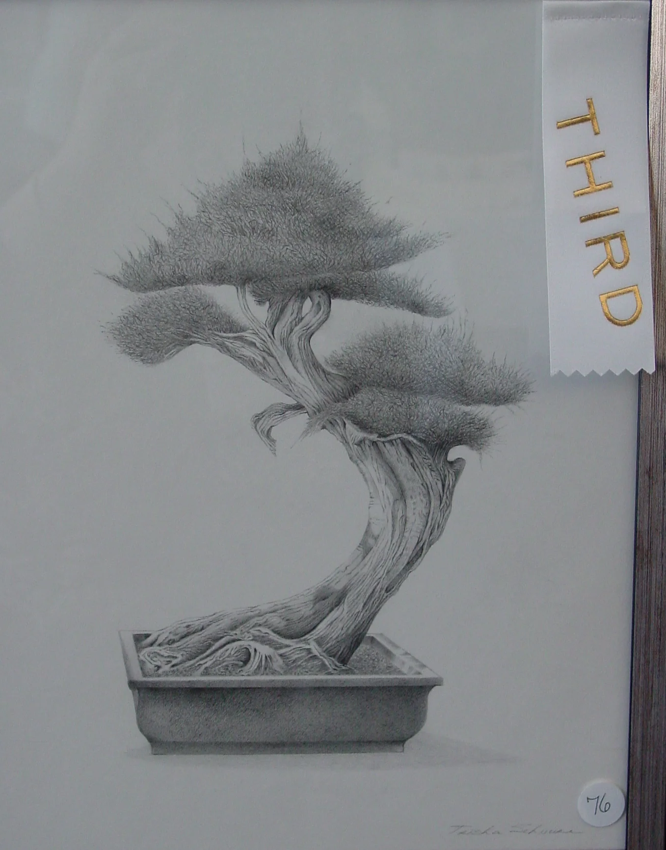 Bonsai 1 by Trisha Schnure