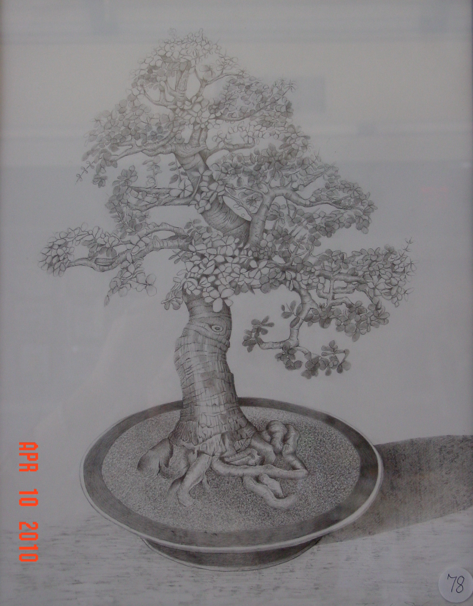 Bonsai III by Trisha Schnure