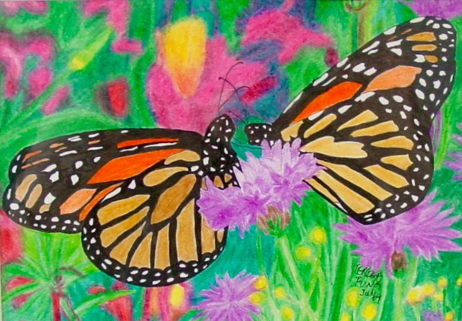 Butterflies by Teresa Fung