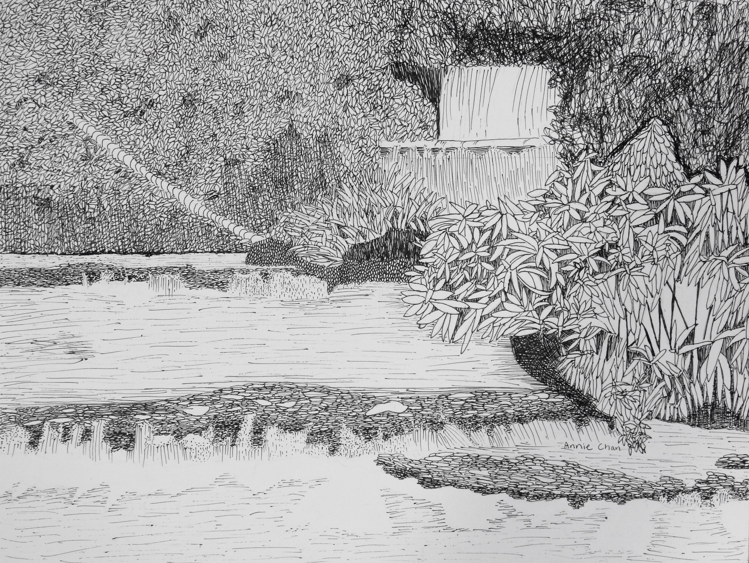AnnieChan.10yrs.Waterfall.pen&ink