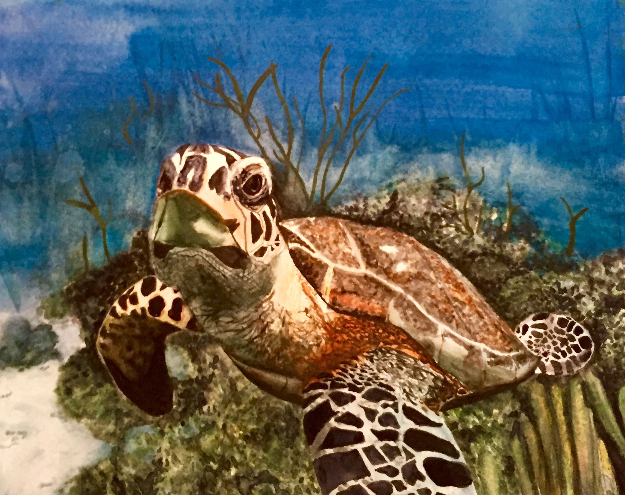 Tory Koshivas.17yrs.watercolor