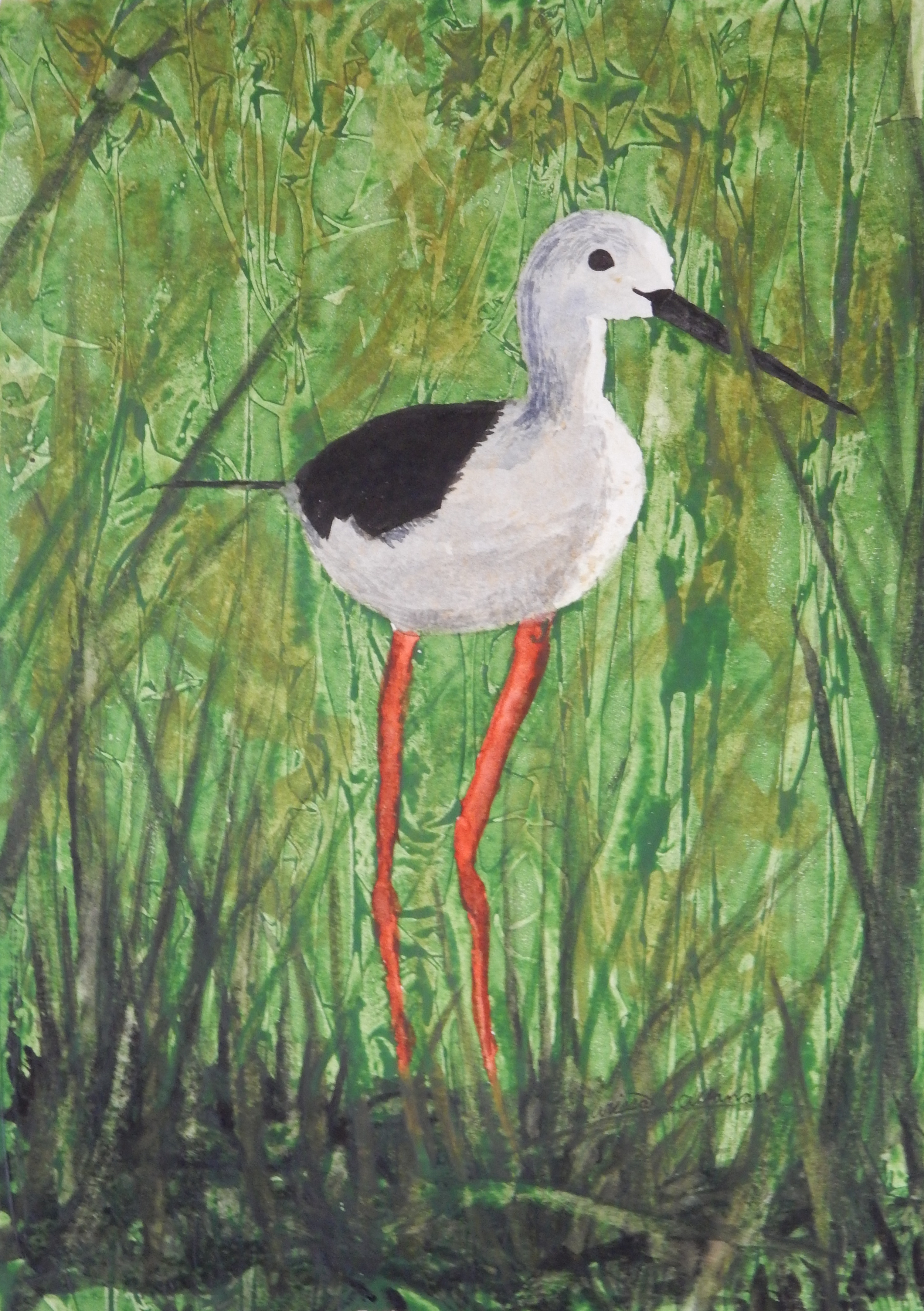 Marissa Callanan.15yrs.watercolor.Bird