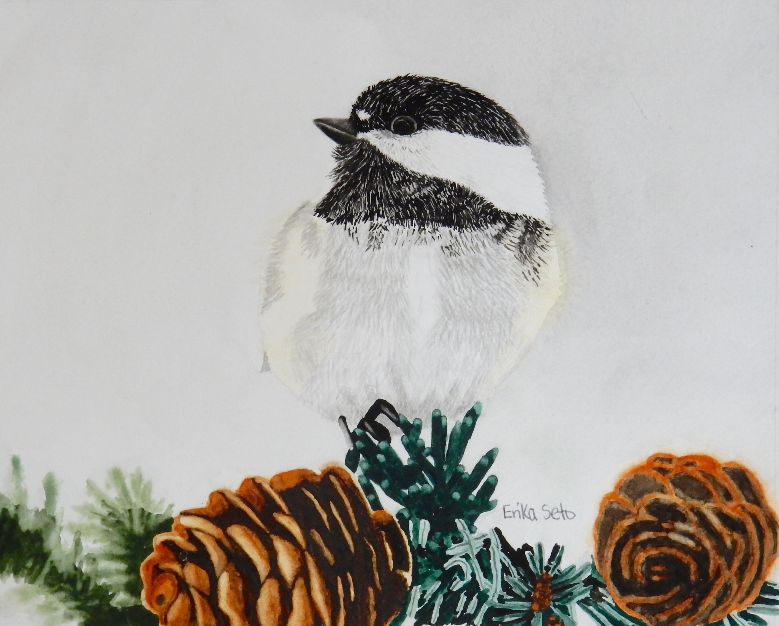 Erika Seto.adult student.watercolor bird