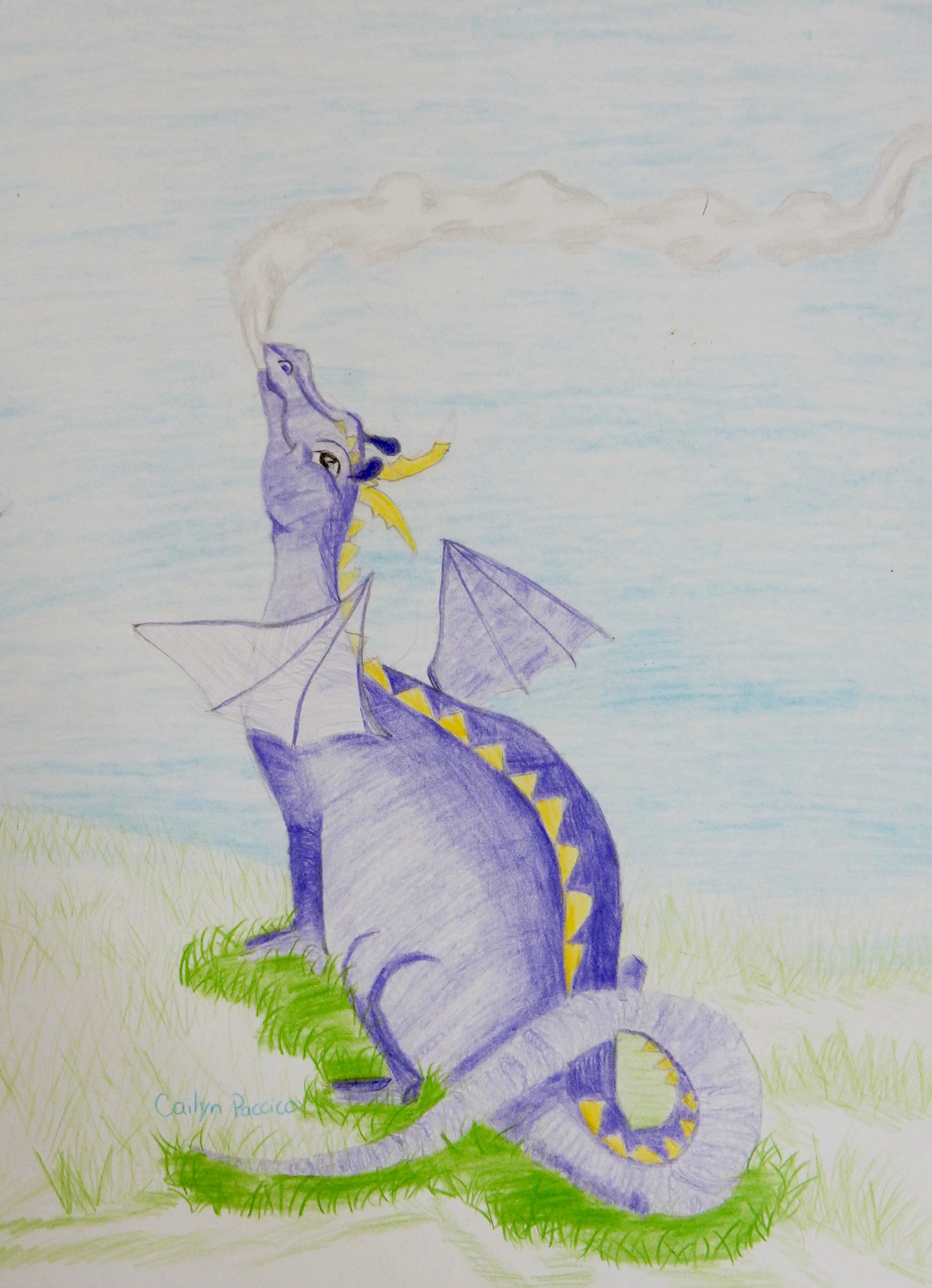 Cailyn Paccico.colored pencil