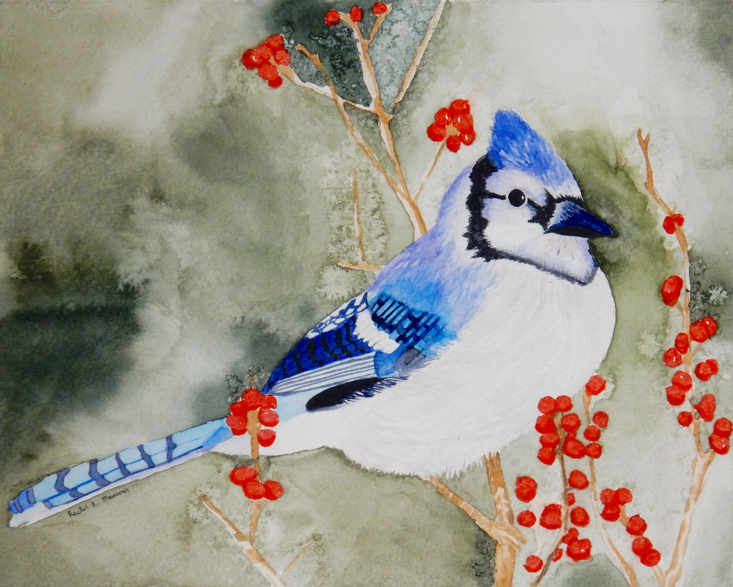 Rachel Mancour.17yrs.watercolor