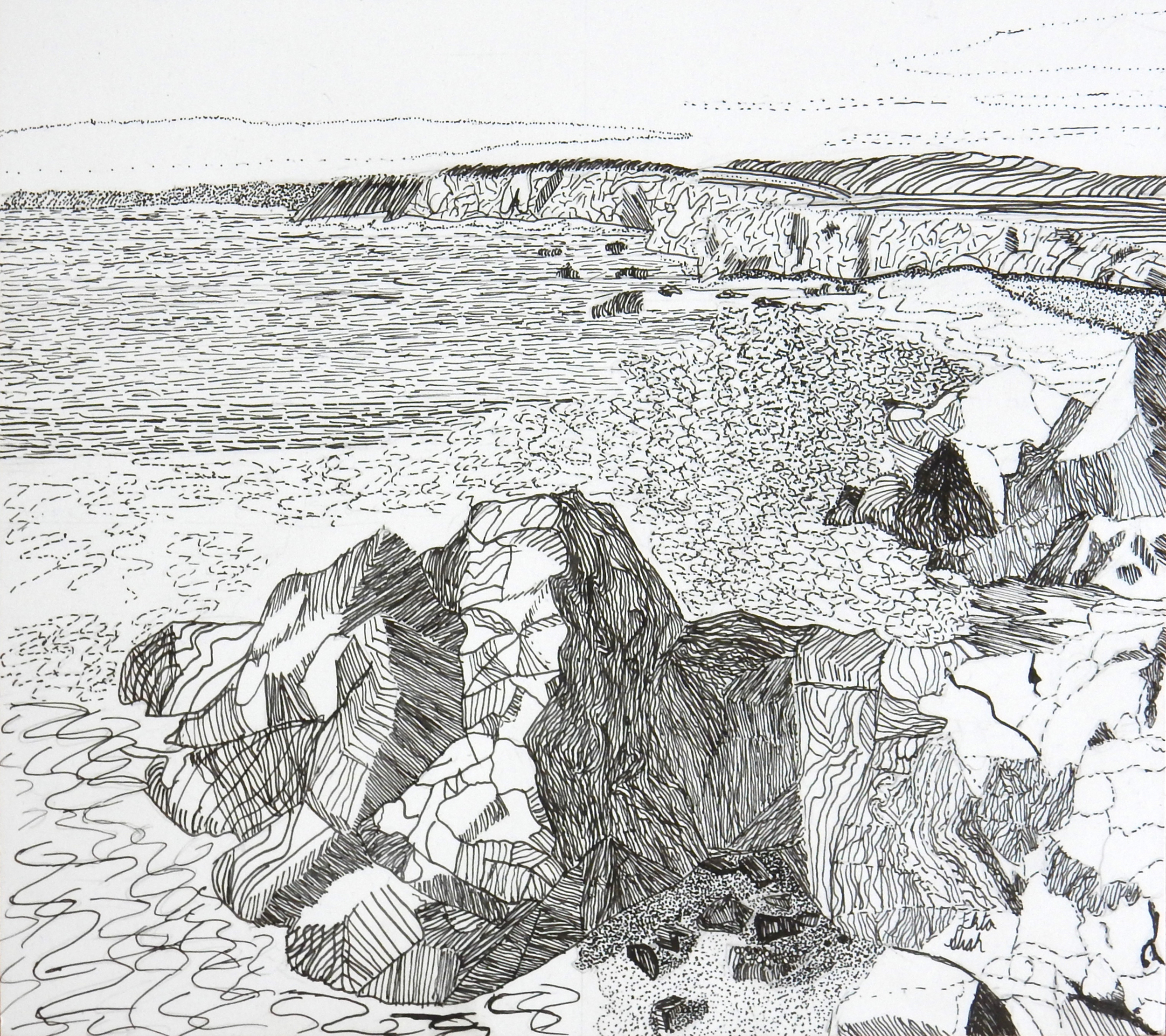 Ekta Shah.13yrs.pen&ink Landscape