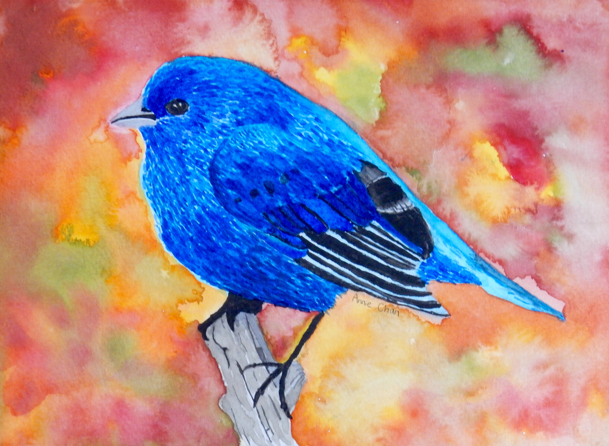 Annie Chan.11 yrs.watercolor.Blue Bird