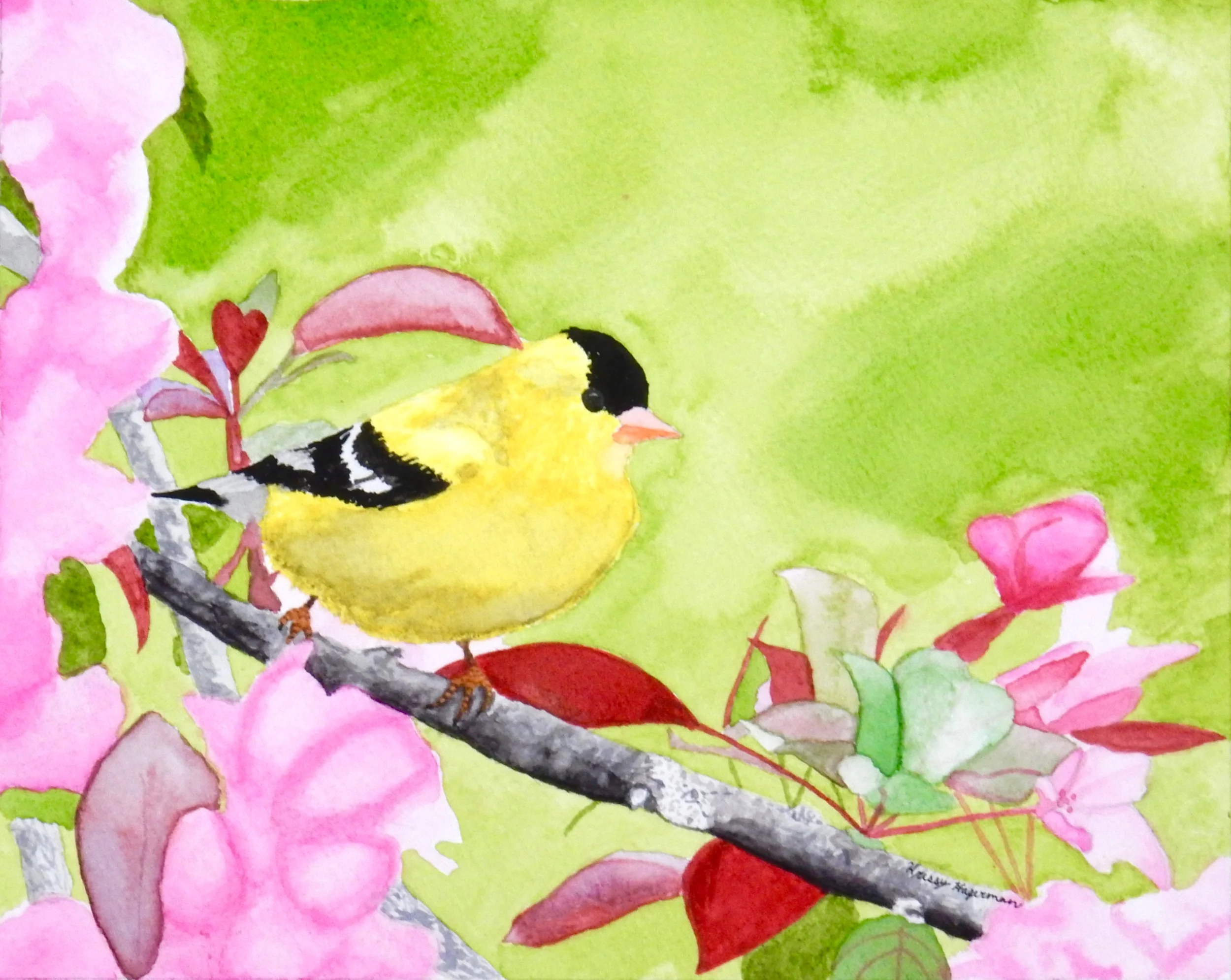 Kristina Hagerman.13yrs.watercolor.Spring