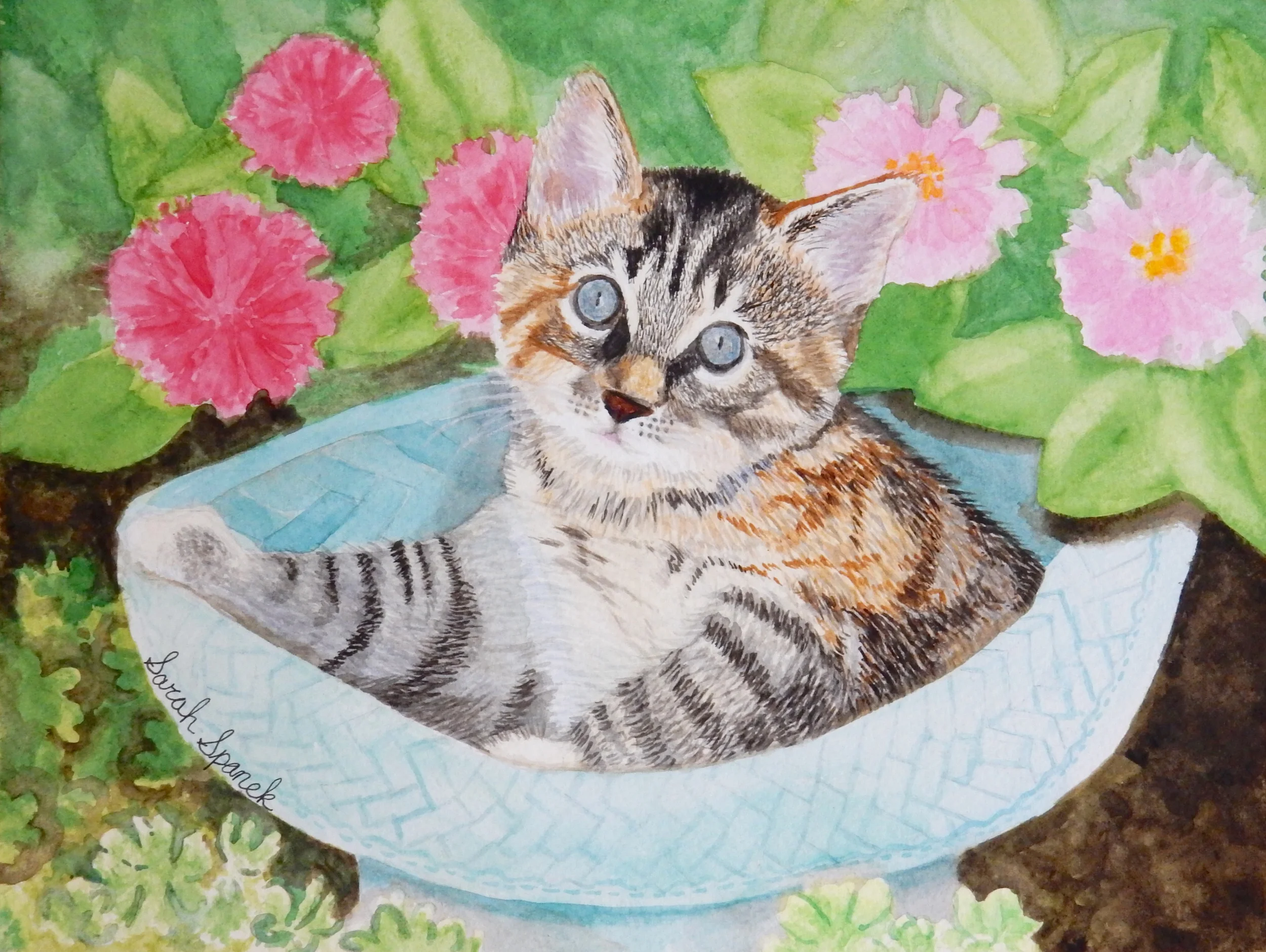 Sarah Spanek.13yrs.watercolor.A Cat in Hat