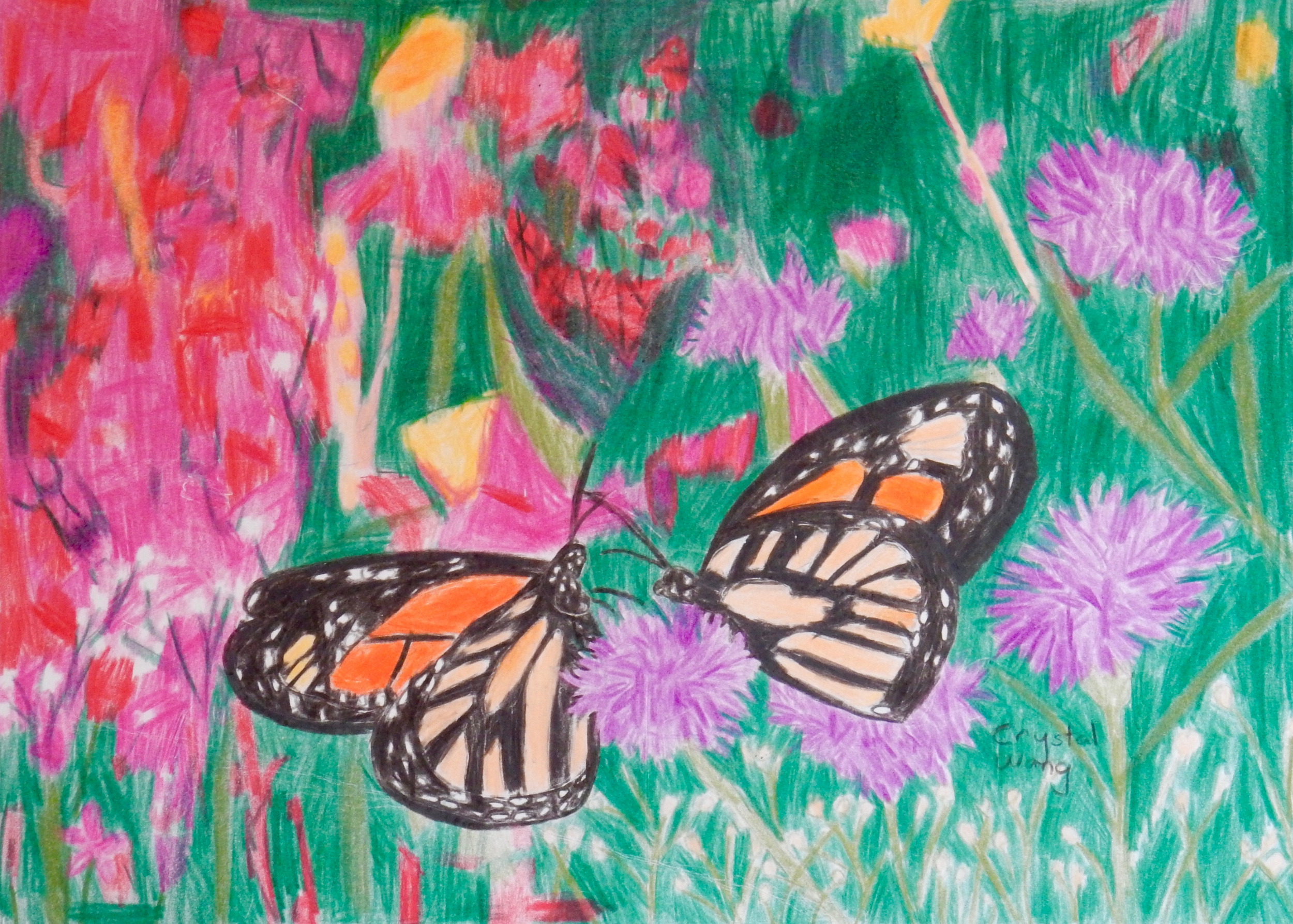 Crystal Wang.8 yrs.colored pencil.8"x10"