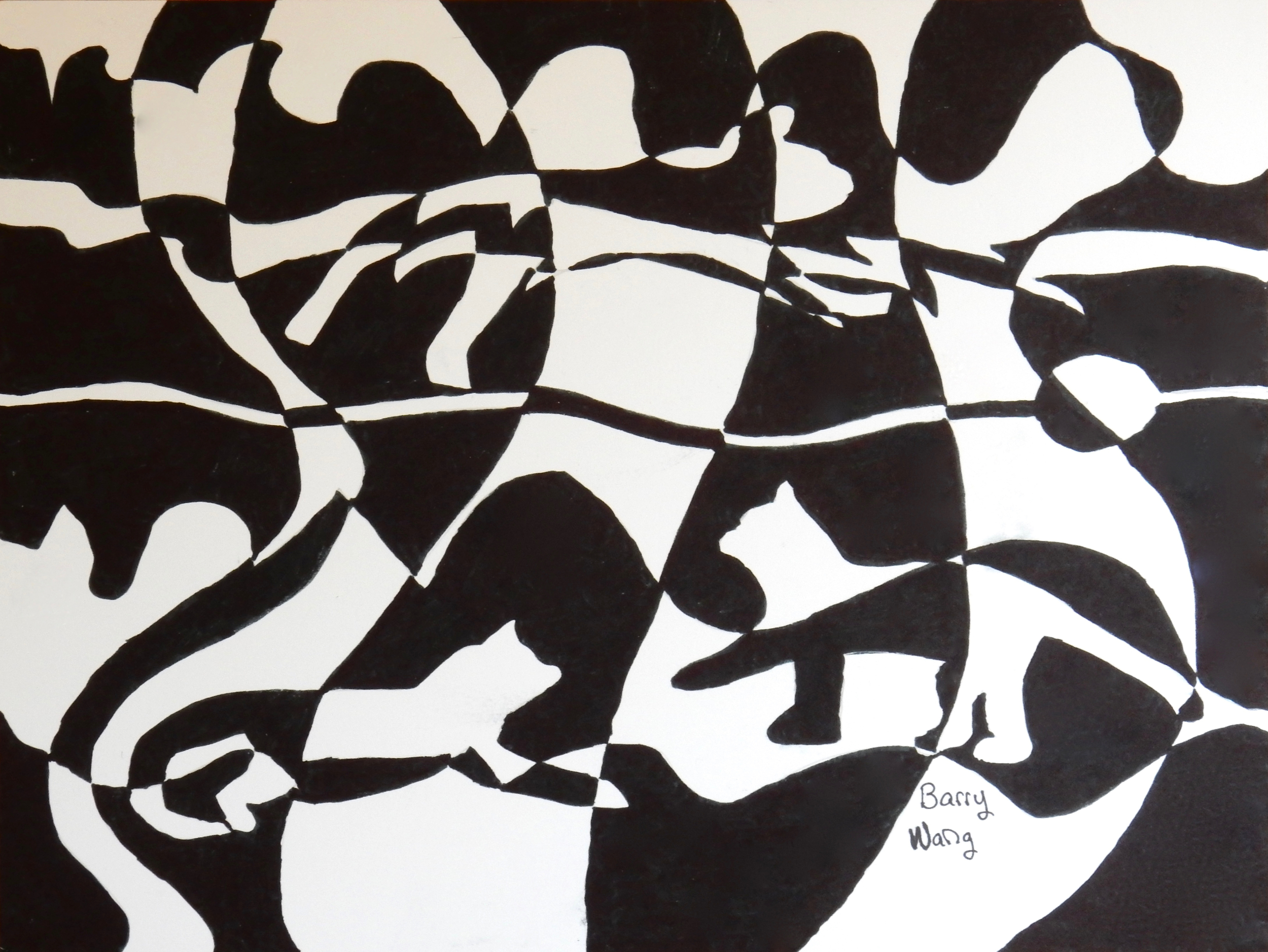 Barry Wang.11 yrs. black marker