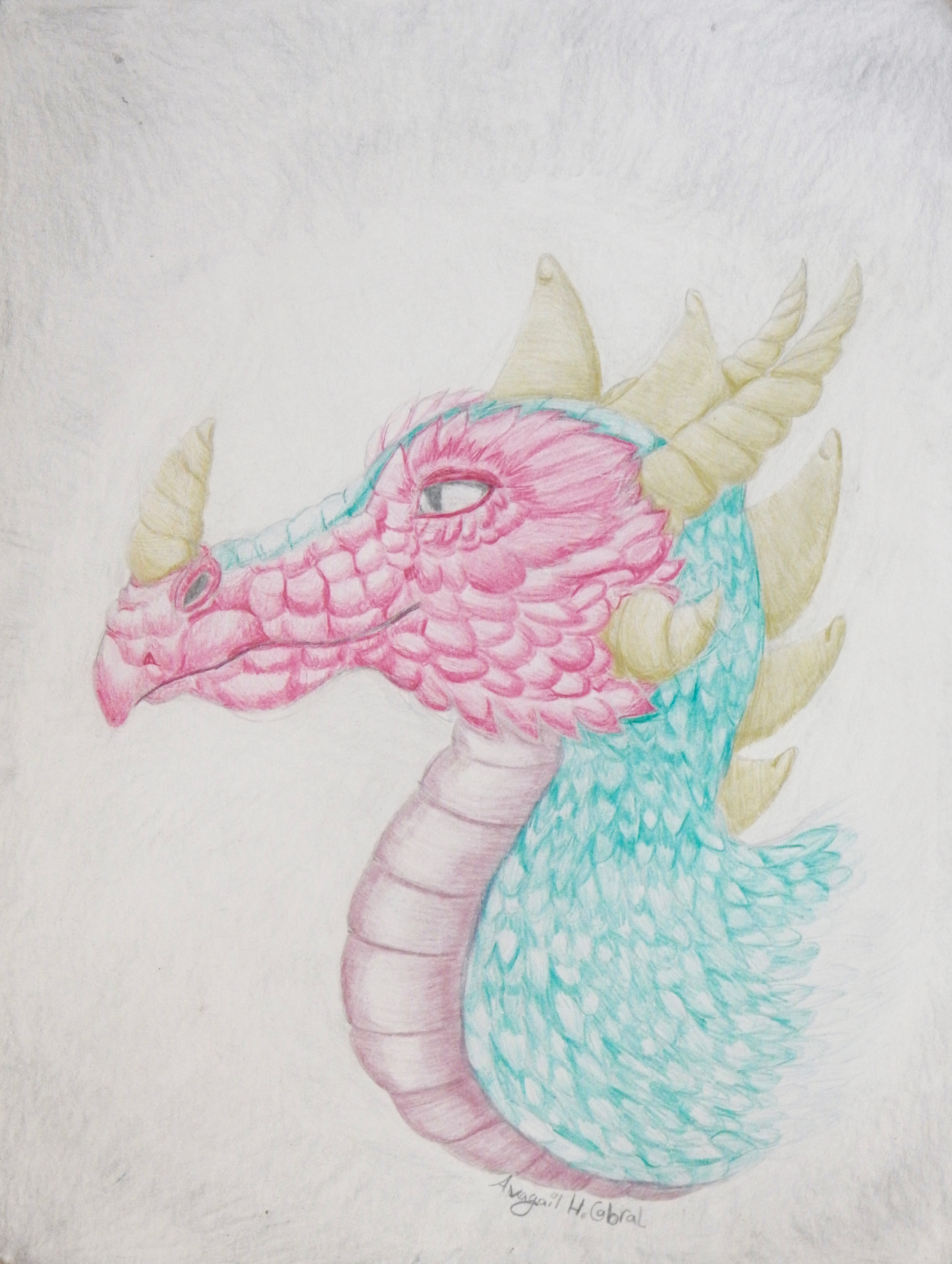 Avagail Cabral.10yrs.colored pencil