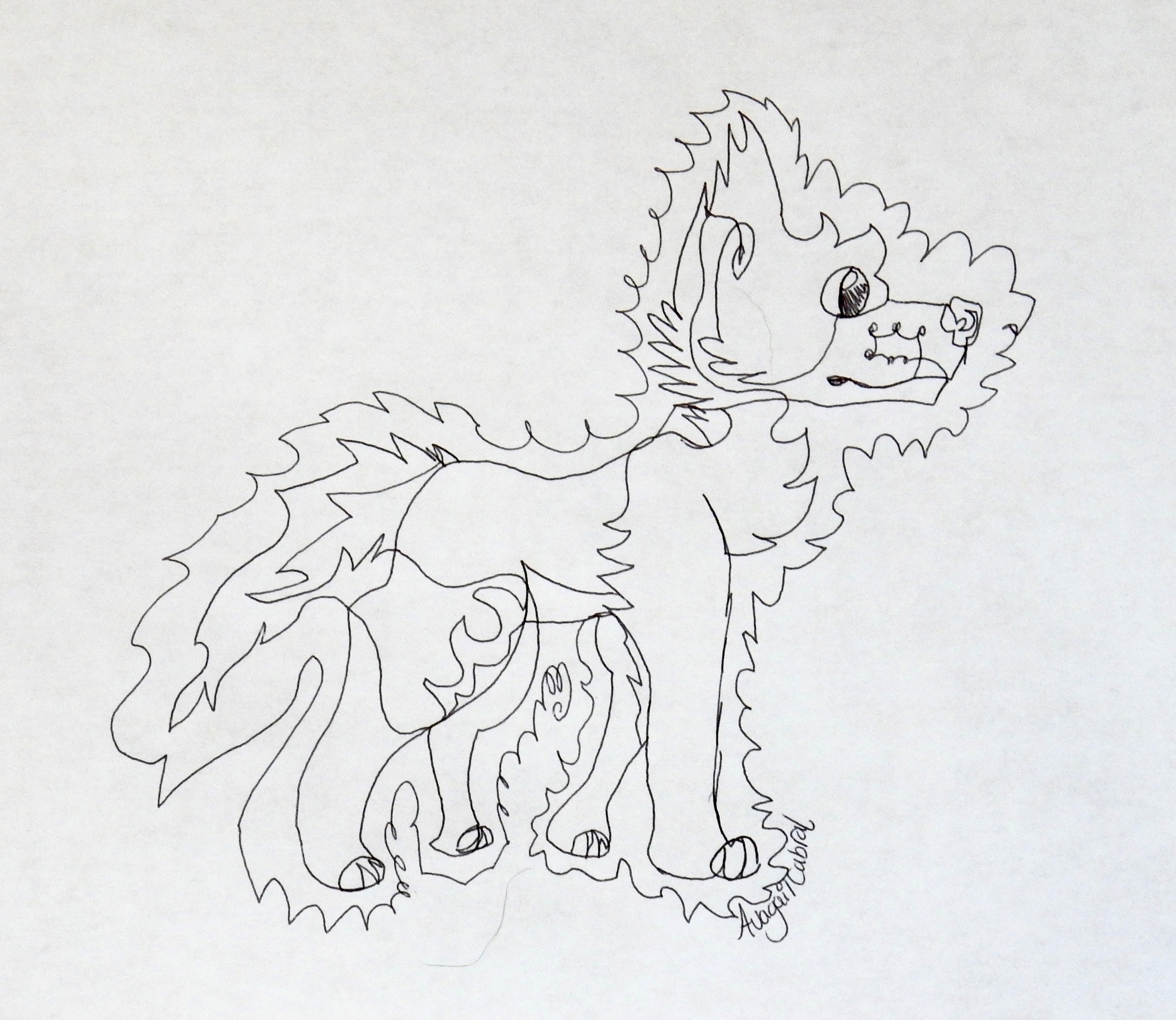 Avagail Cabral.10yrs.pen.continuous line design.Dog