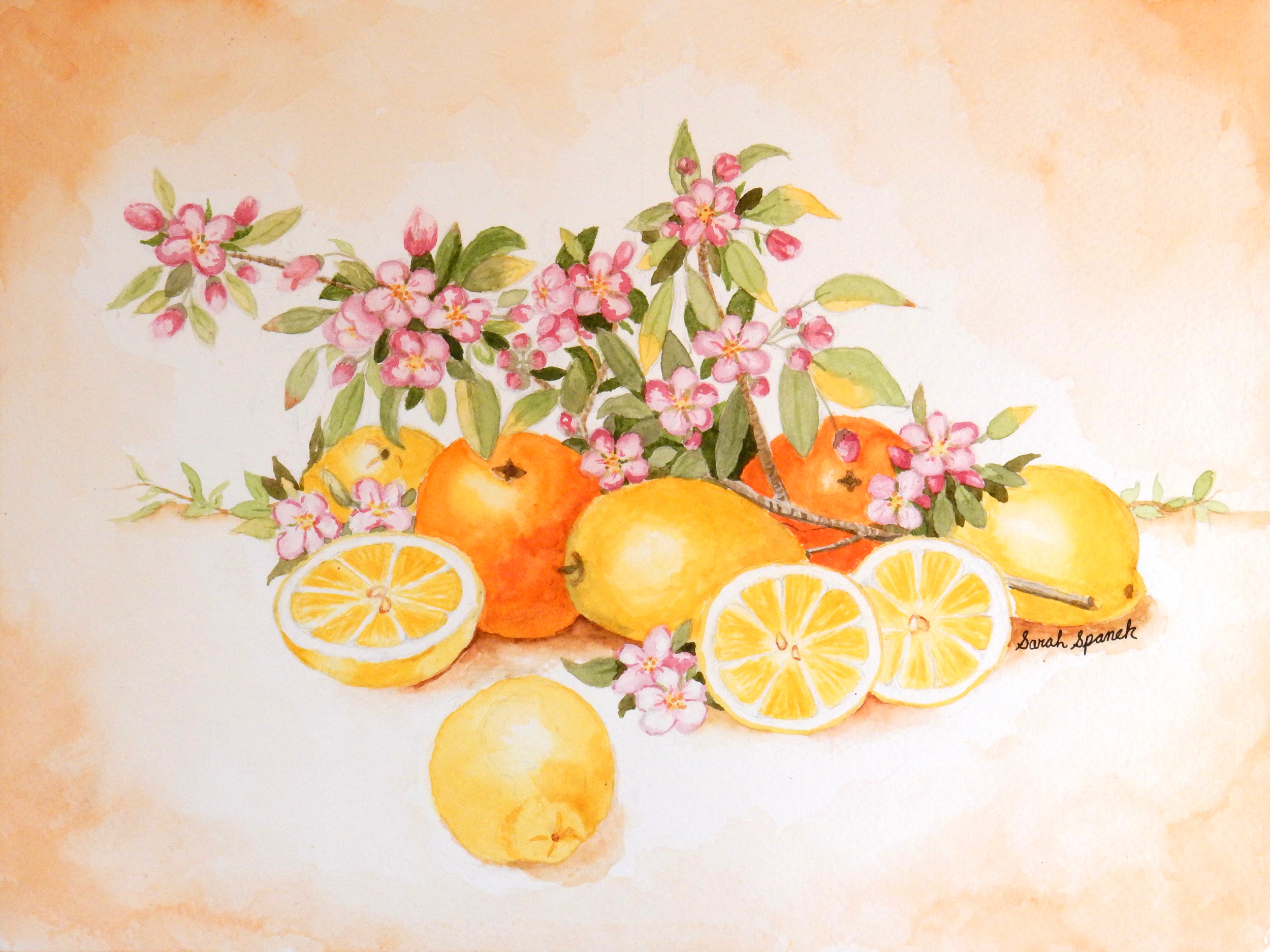 Sarah Spanek.14yrs.watercolor