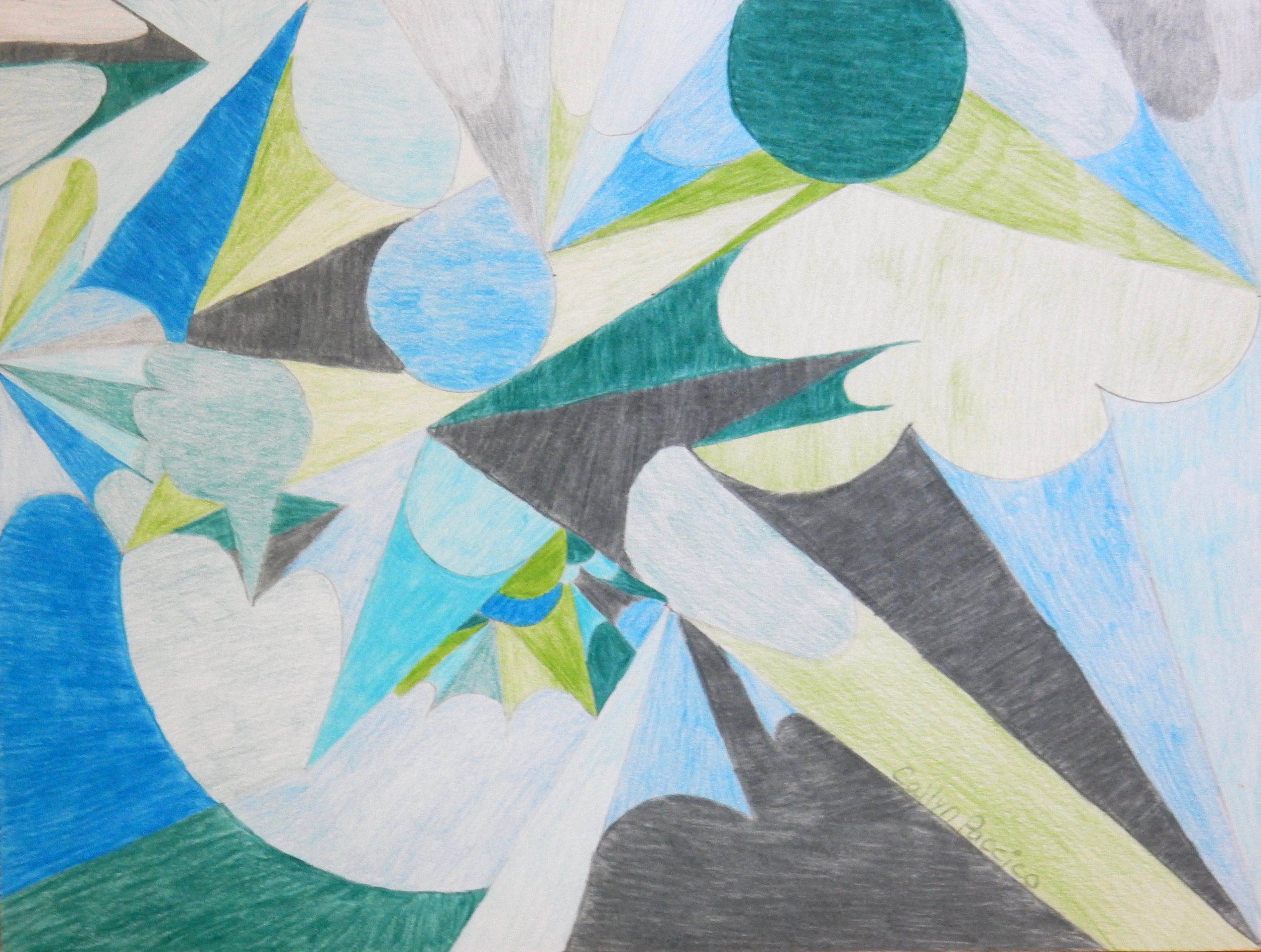 Cailyn Paccico.11yrs.colored pencil