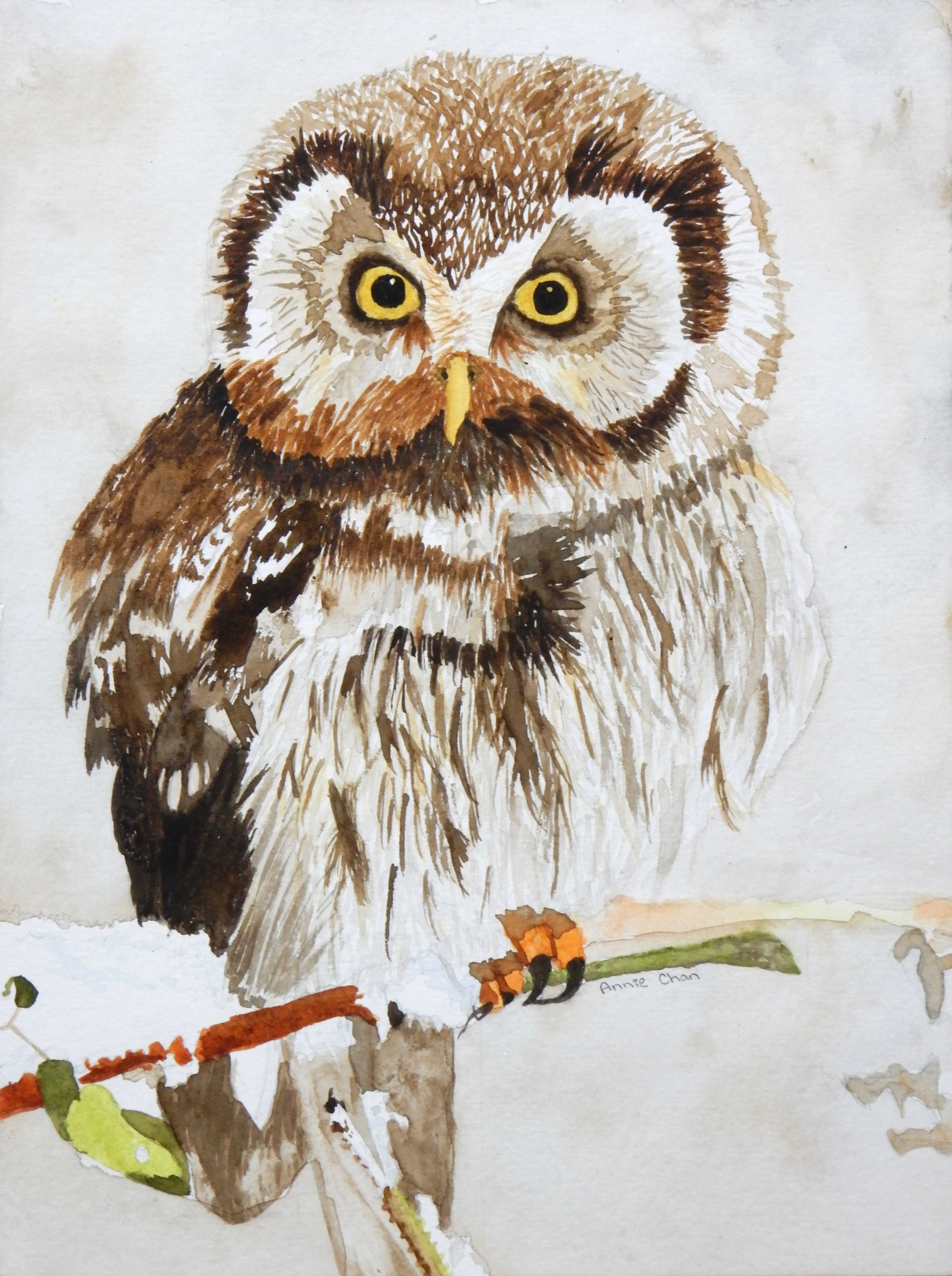 Annie Chan.5th grade.watercolor