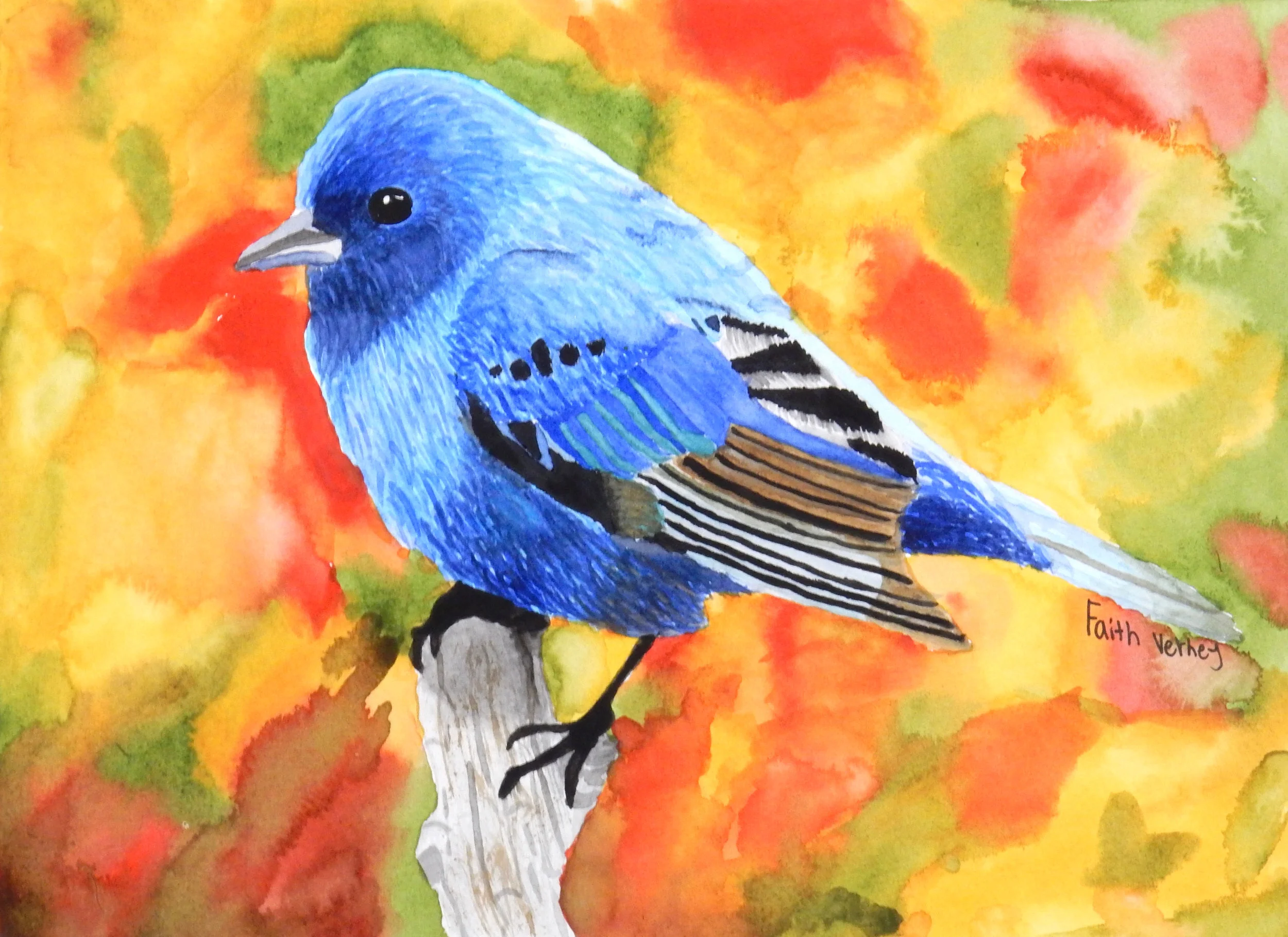 Faith Verney.11th grade.watercolor.Beauty in Blue