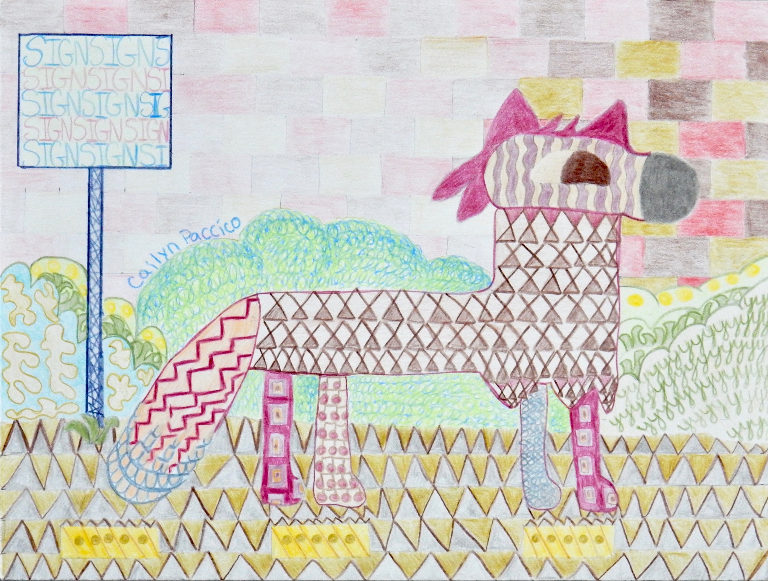 Cailyn Paccico.12 yrs.colored pencil