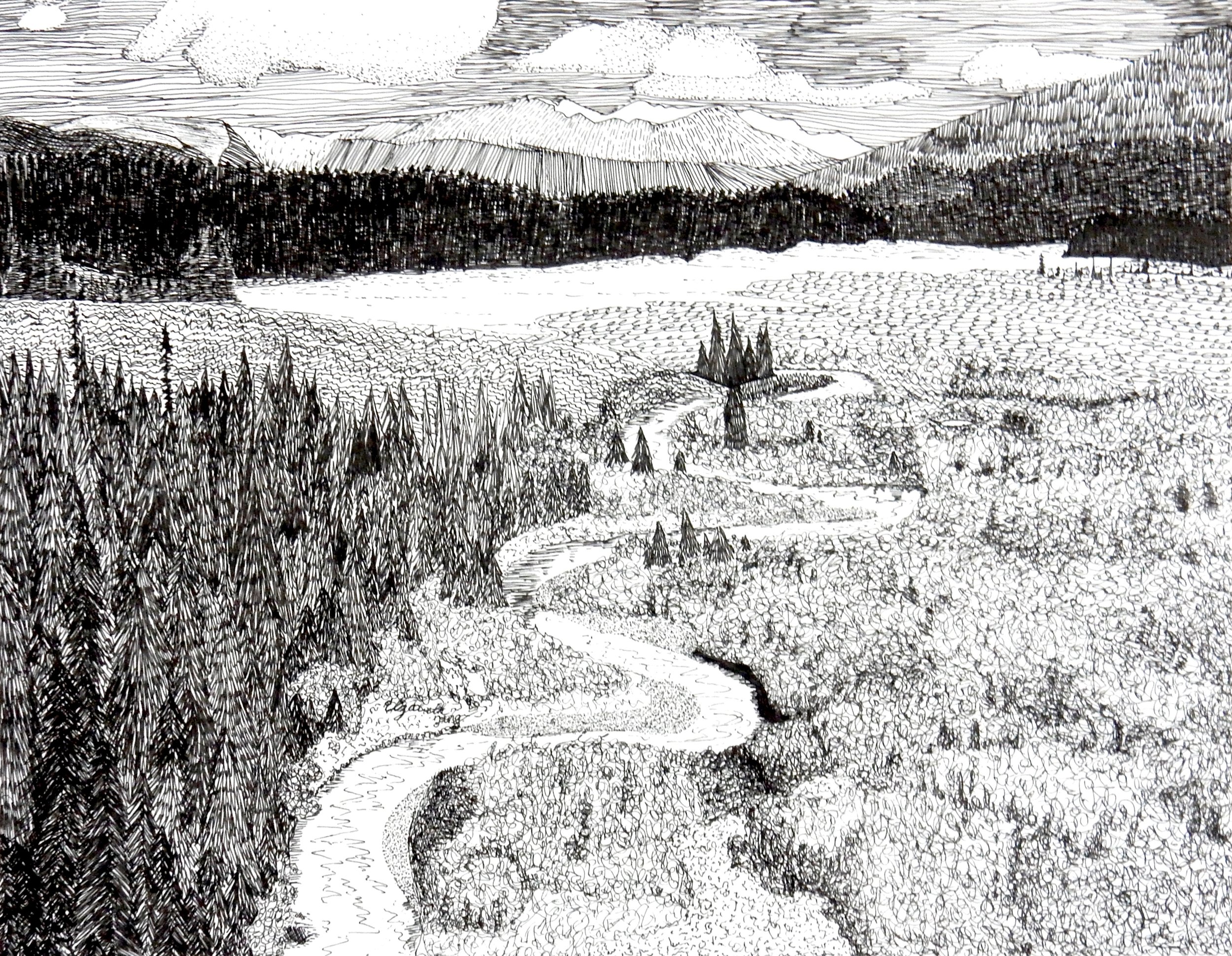 Elizabeth Tang.12 yrs.pen & ink