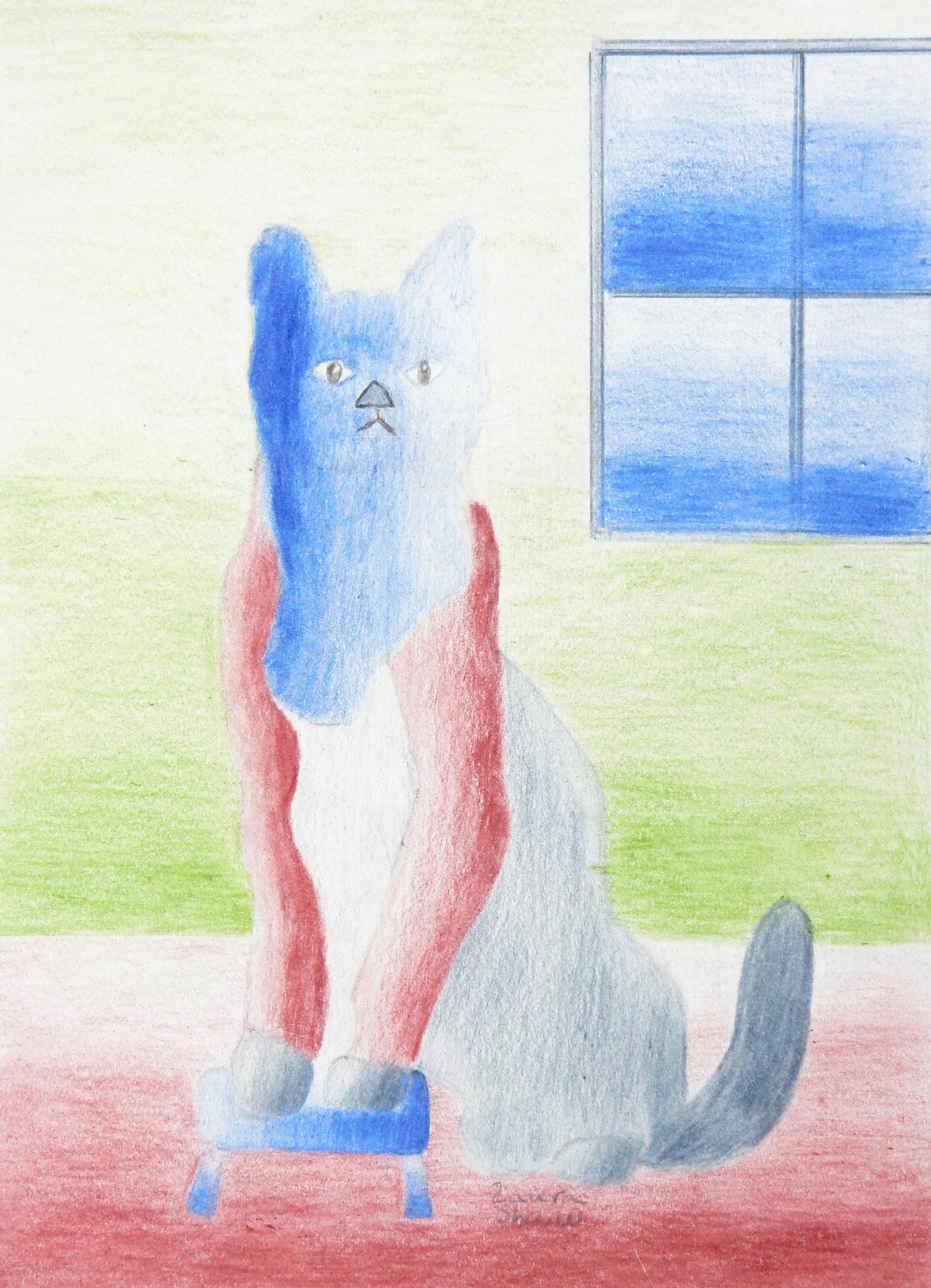 Laura Shaw.17yrs.colored pencil