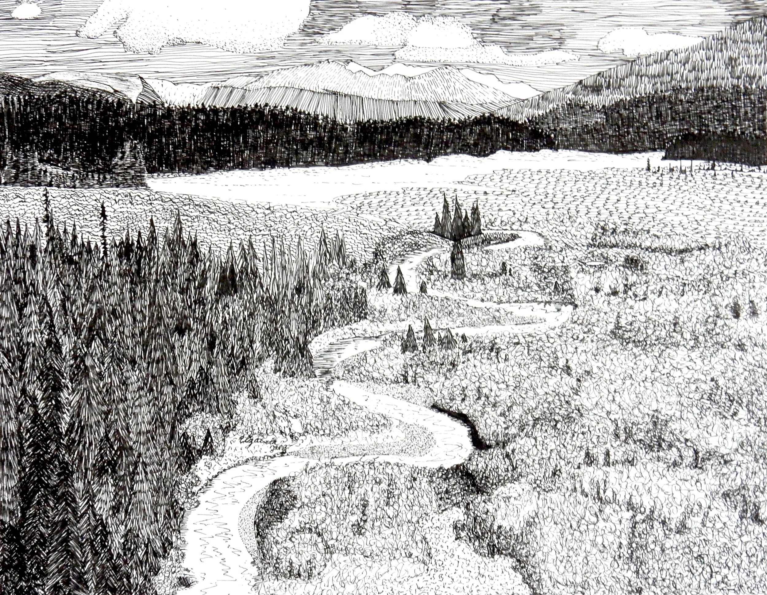 Elizabeth Tang.7th.pen & ink