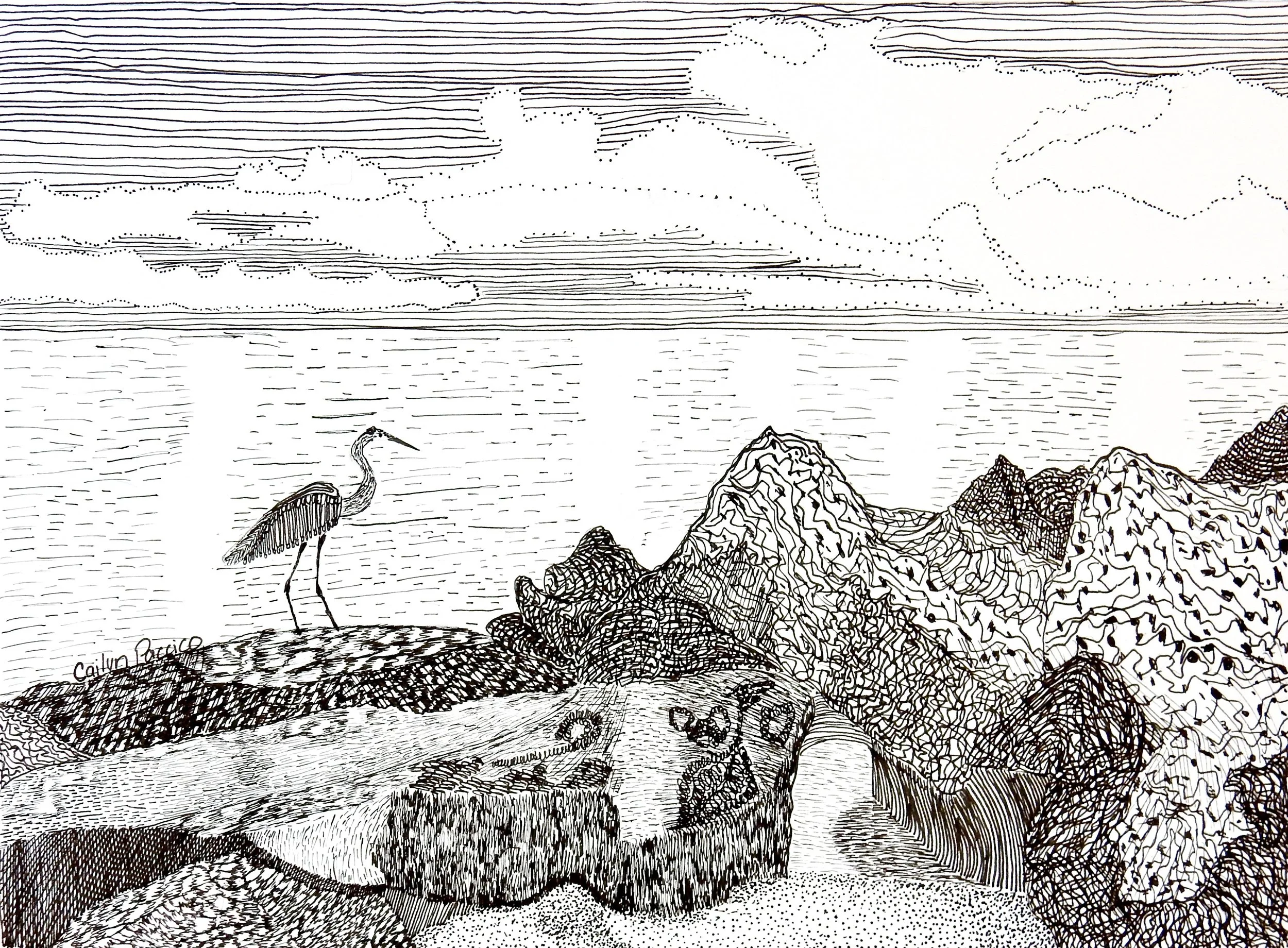 Cailyn Paccico.6th grade.A Peaceful Afternoon. pen & ink
