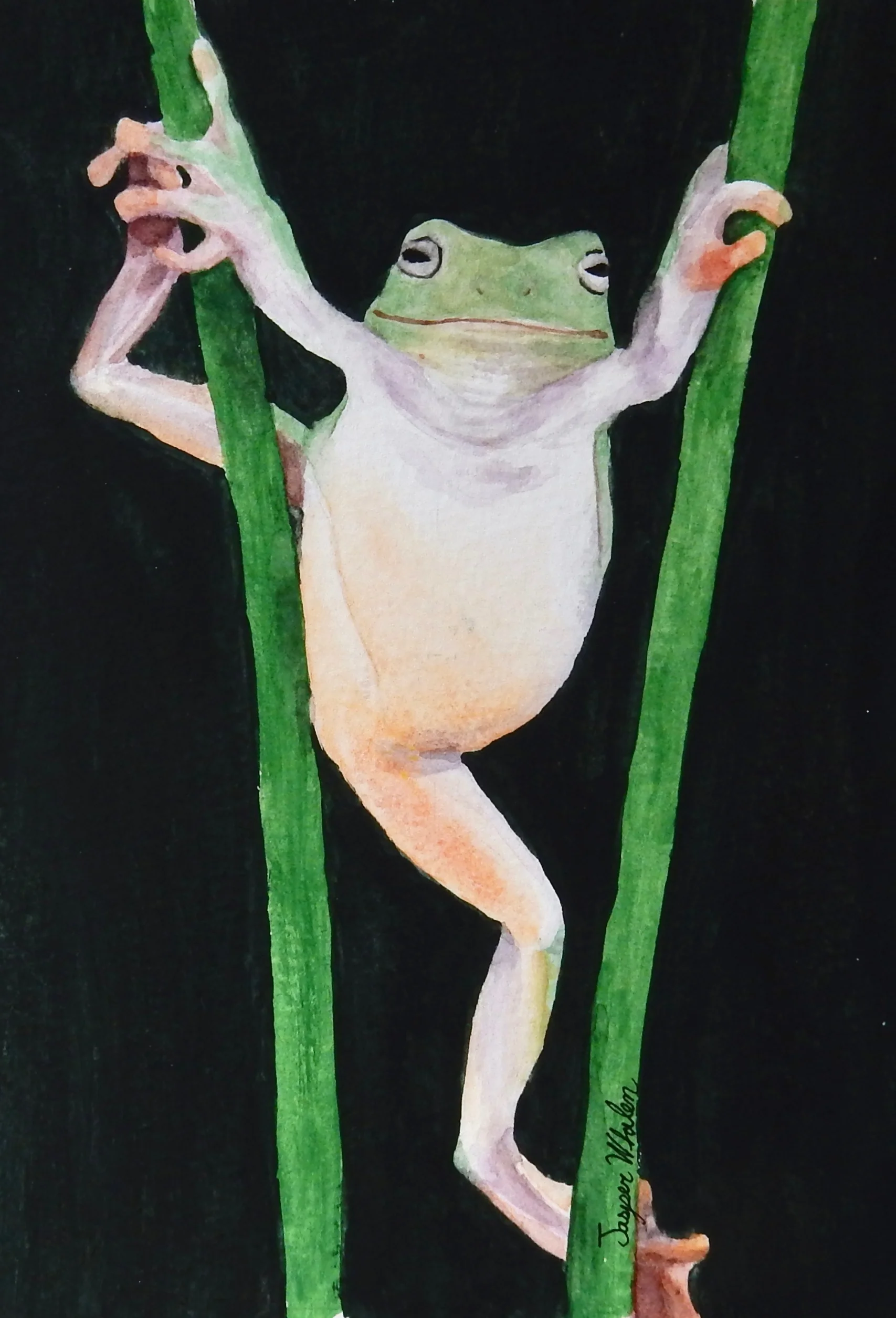 Emily Whalen.16 yrs.watercolor
