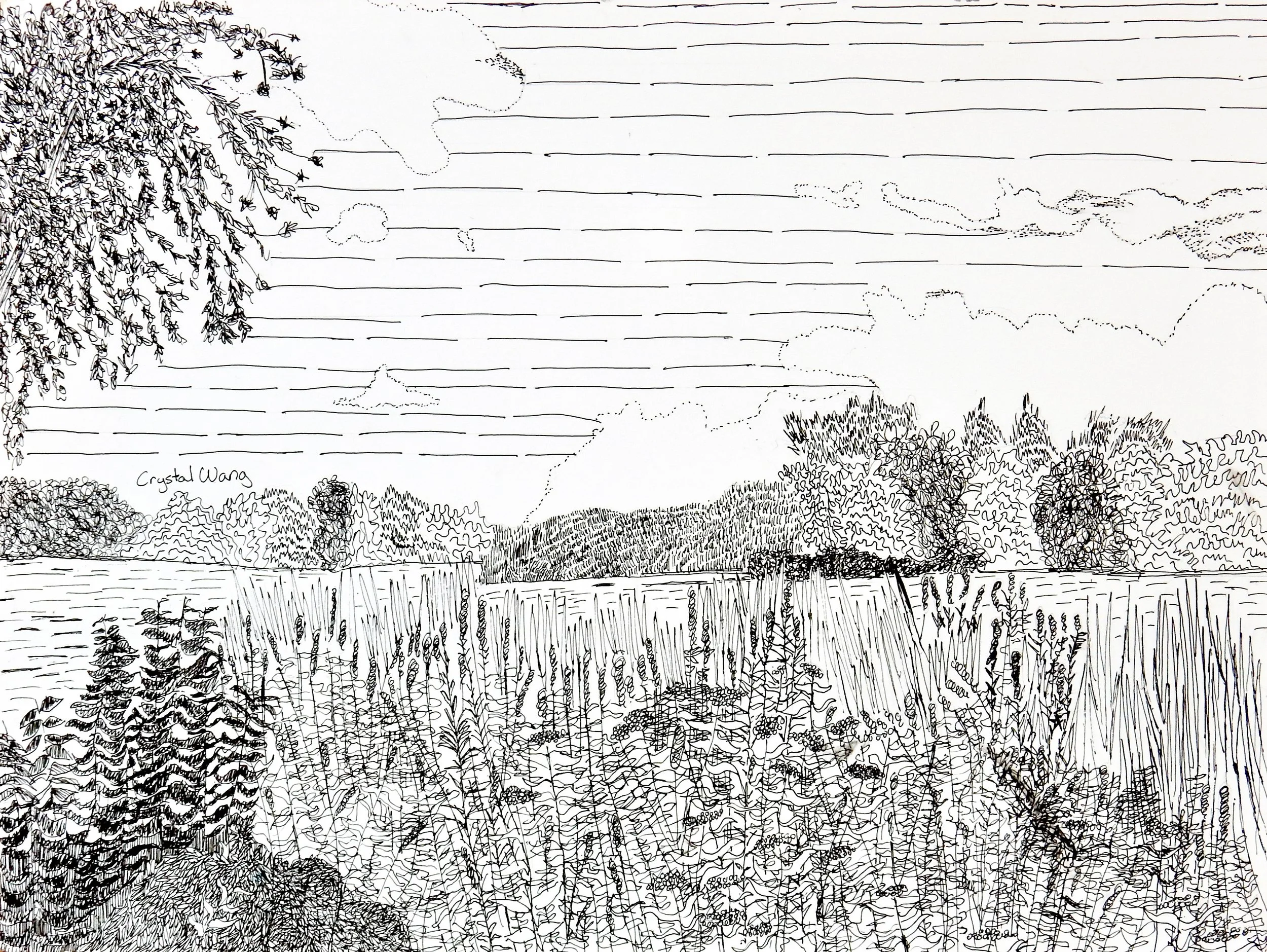 Crystal Wang.4th grade.pen&ink