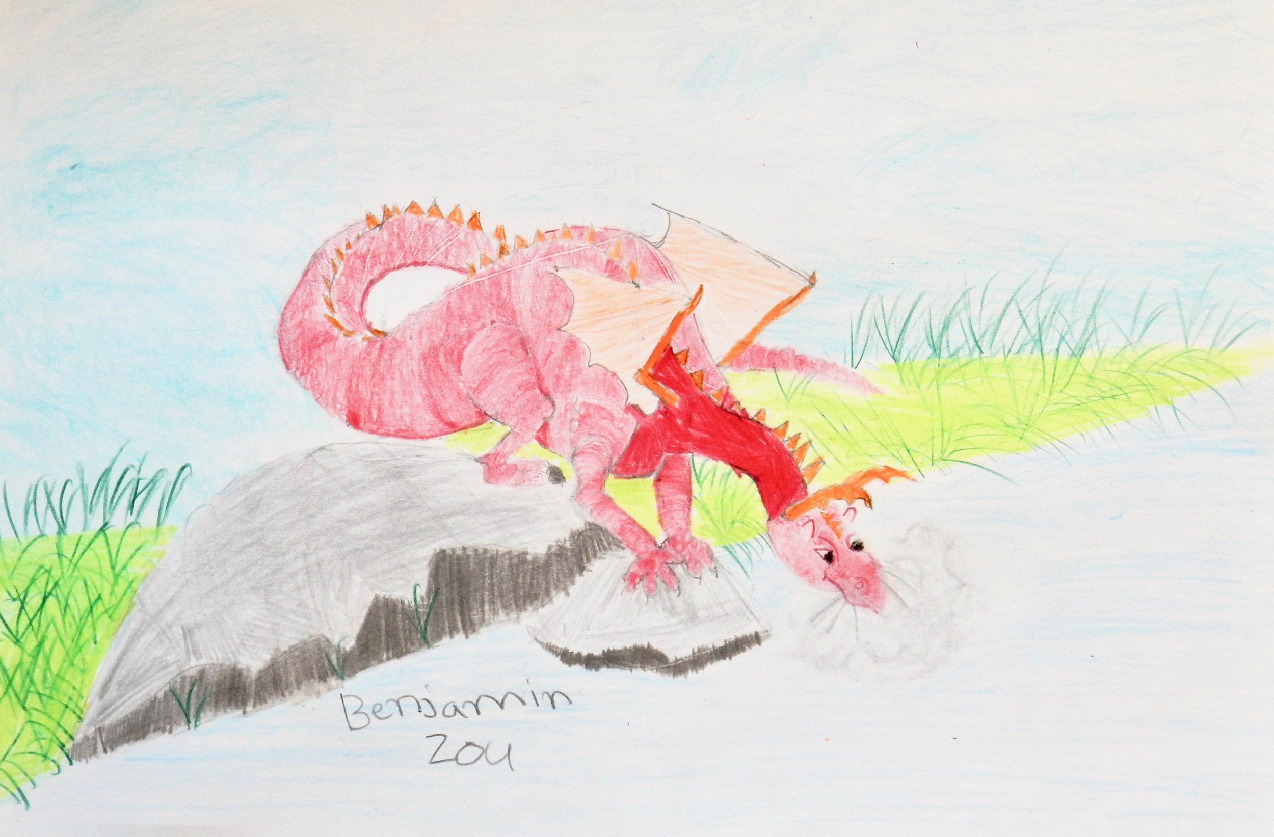 Benjamin Zou.9 yrs.colored pencil