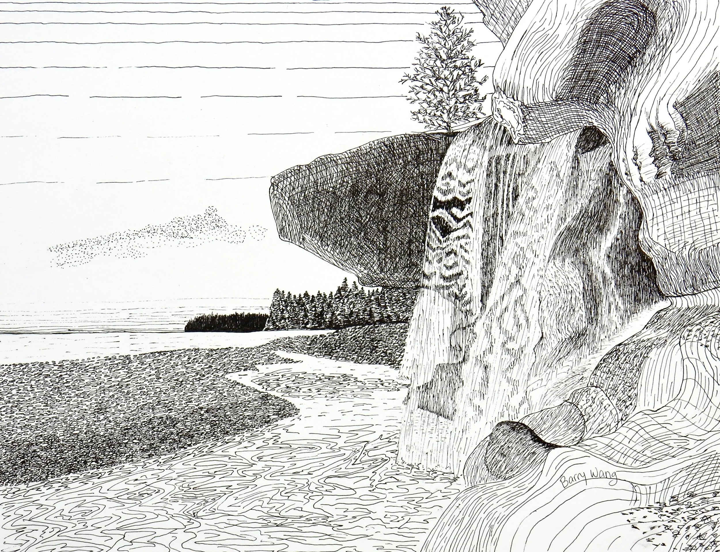 Barry Wang.13yrs.pen & ink