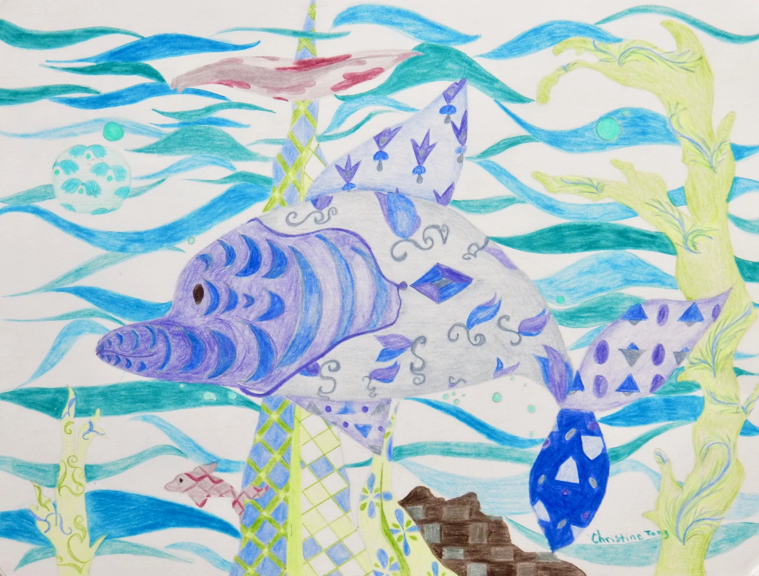 Christine Tang.11 yrs.colored pencil