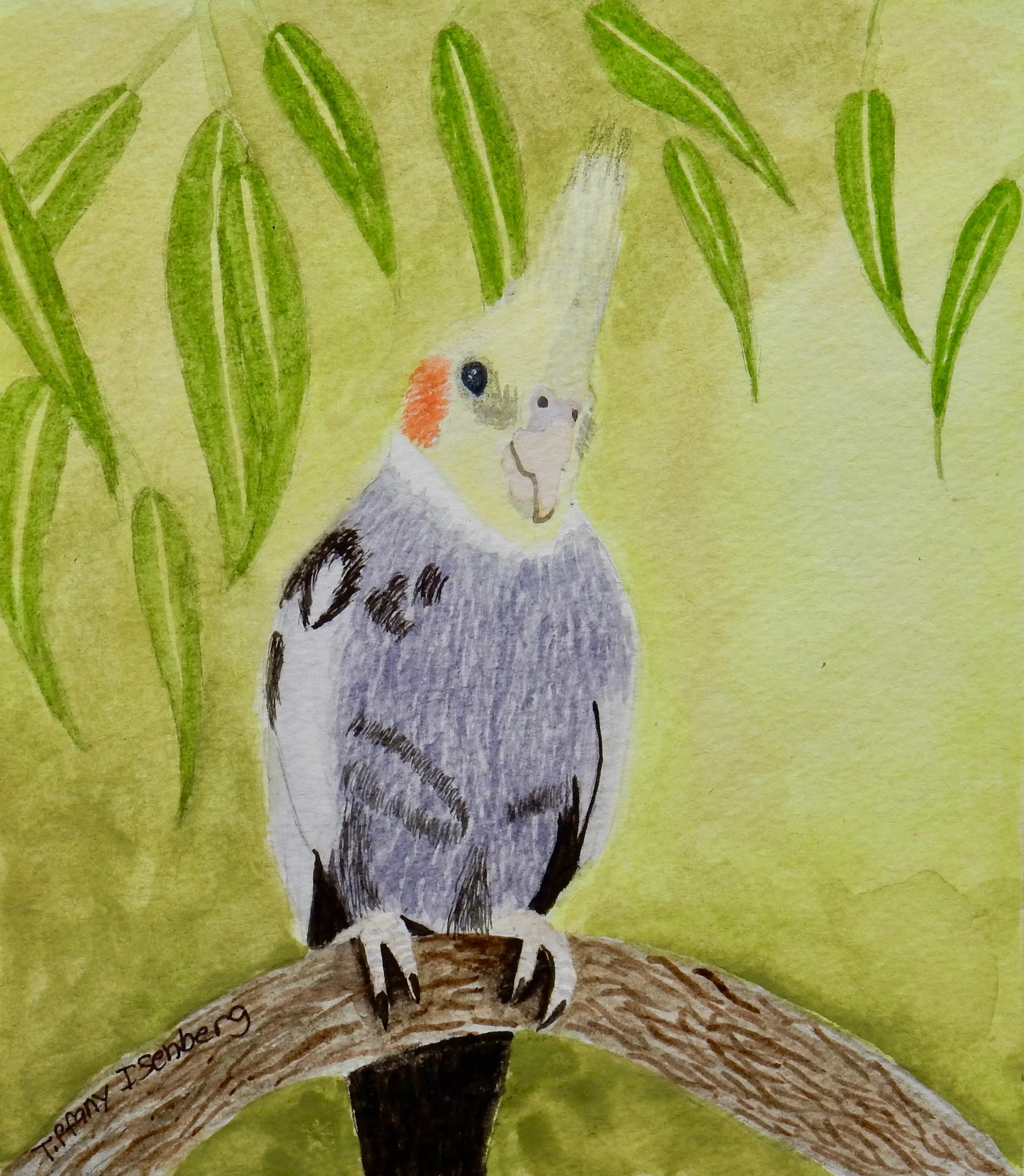 Tiffany Isenberg. 13 yrs.watercolor