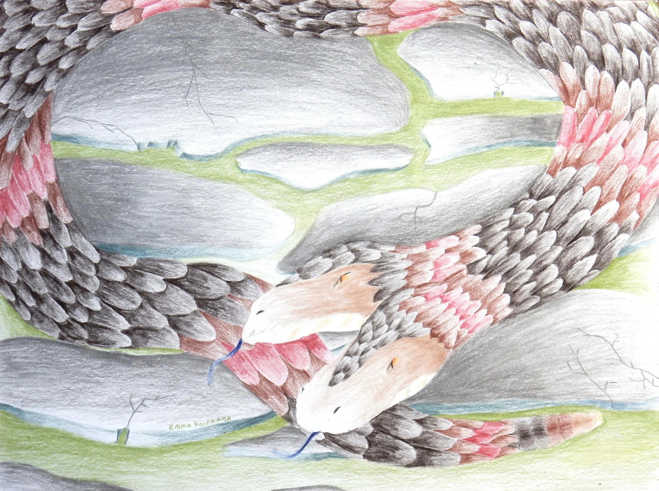 Emma Kaufmann.14 yrs.colored pencil