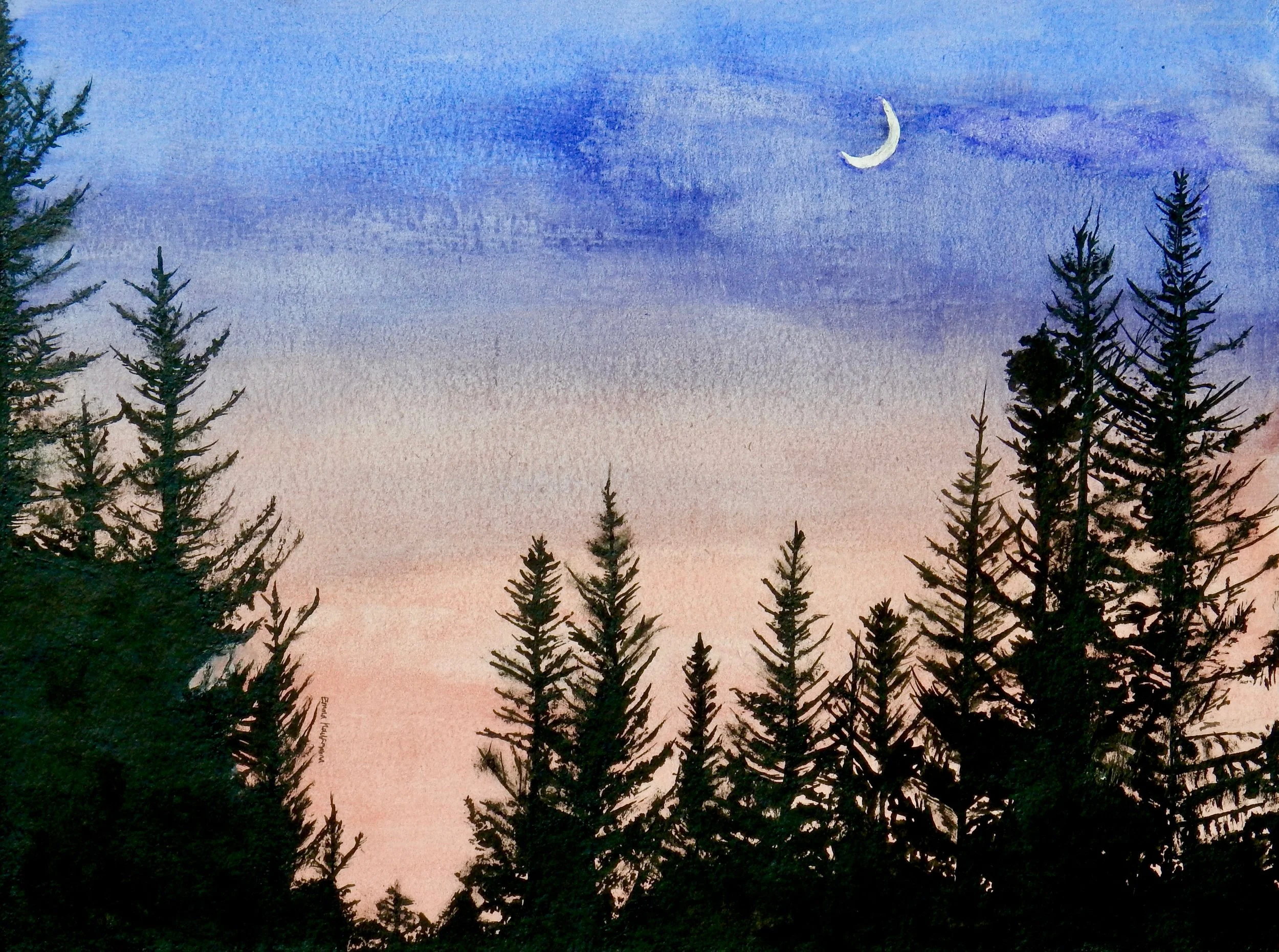 Emma Kaufmann.15 yrs.watercolors