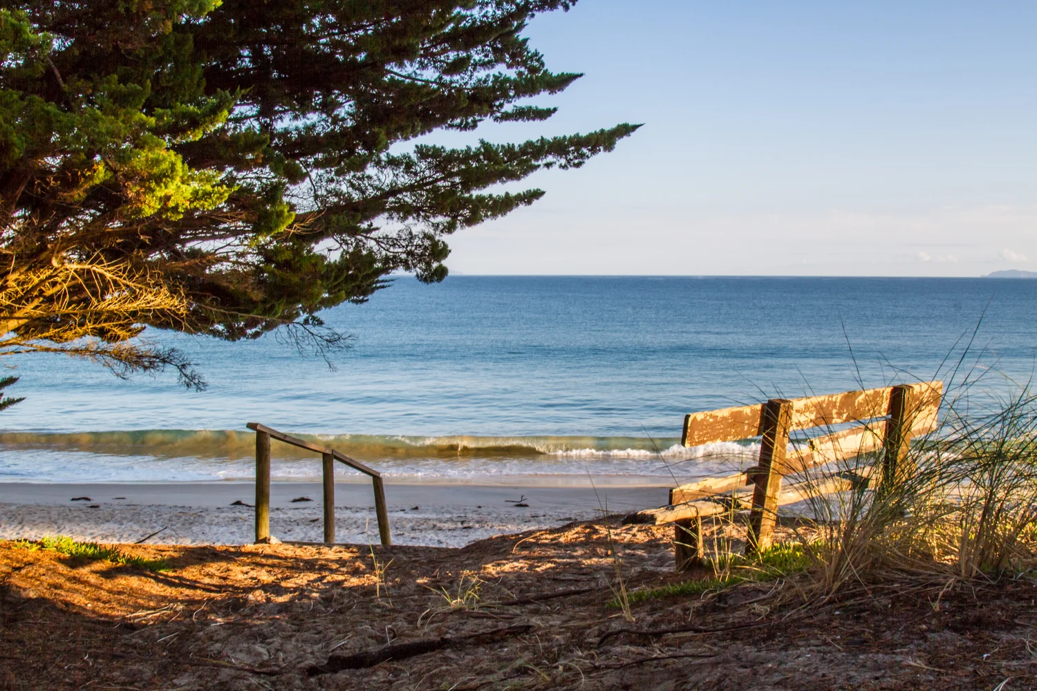 View from our entrance to Kuaotunu Beach