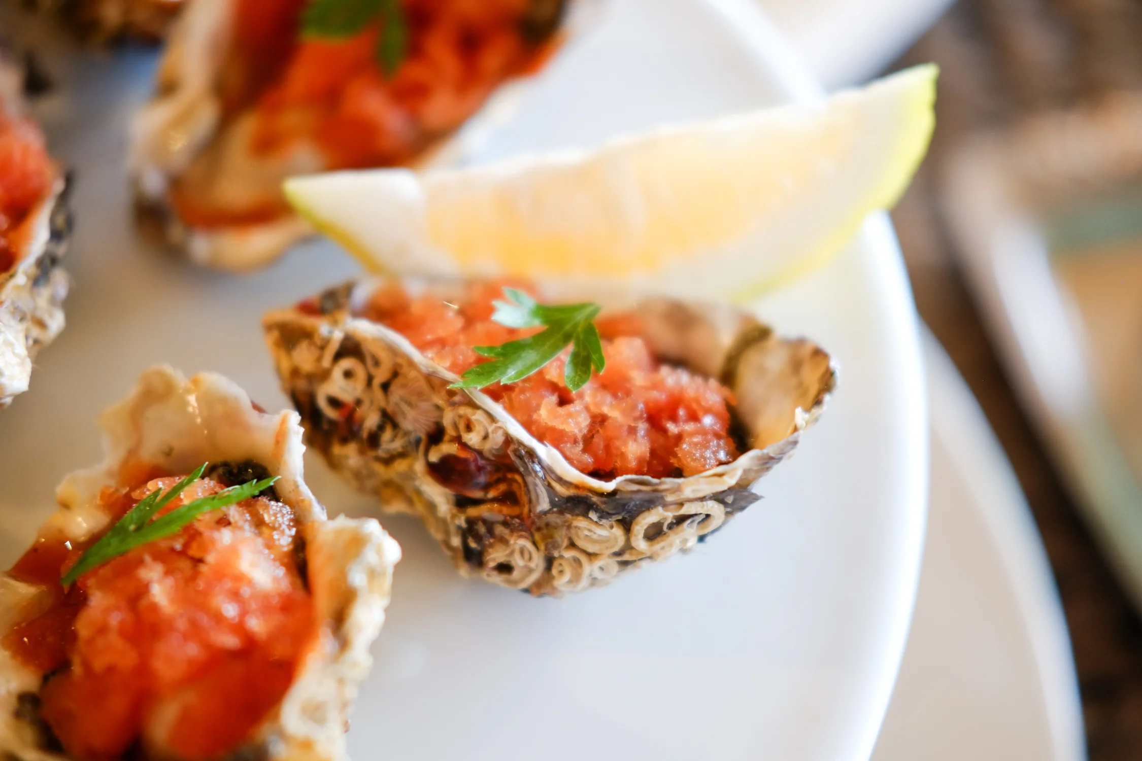 Coromandel Oysters with Bloody Mary Granita