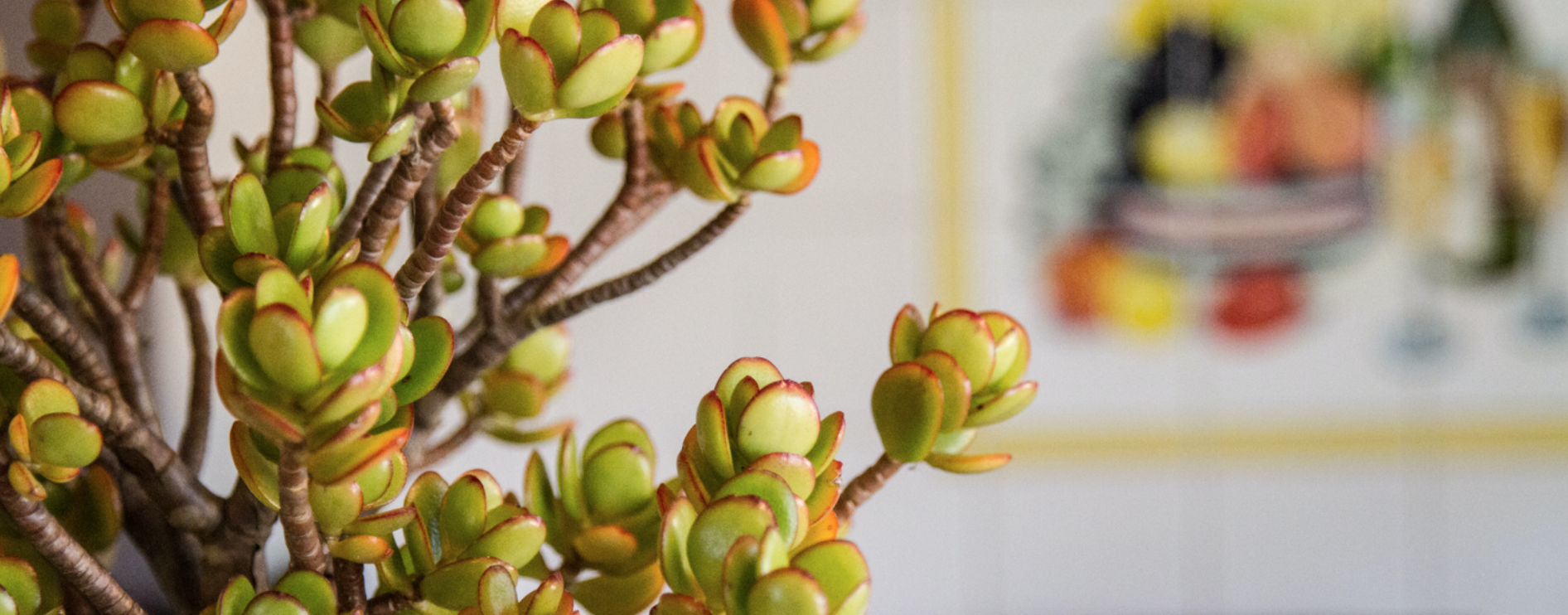 Screen Shot 2019-10-16 at 15.45.43.png