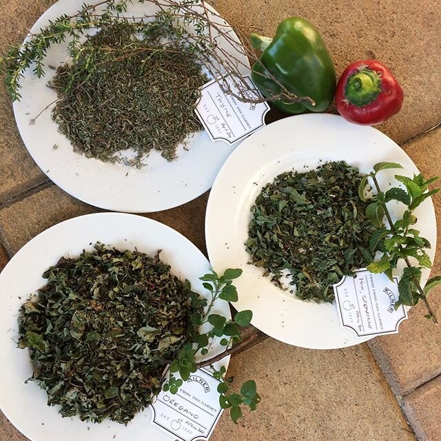 Some more goodies from the garden. Capsicums and dried herbs &mdash; thyme, oregano, and spearmint, harvested from herb prunings #driedherbs #gardengoodies #thyme #oregano #spearmint