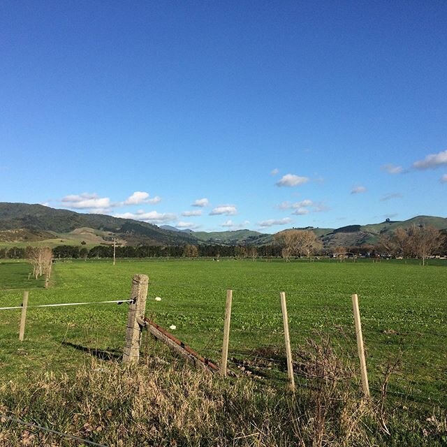 Some snippets along the Karangahake Gorge section of the Hauraki Rail Trail. Southern end of the Coromandel Peninsula. Gorgeous scenery and some interesting history of gold mining days. Cycling and walk tracks. Definitely worth a visit #haurakirailtr