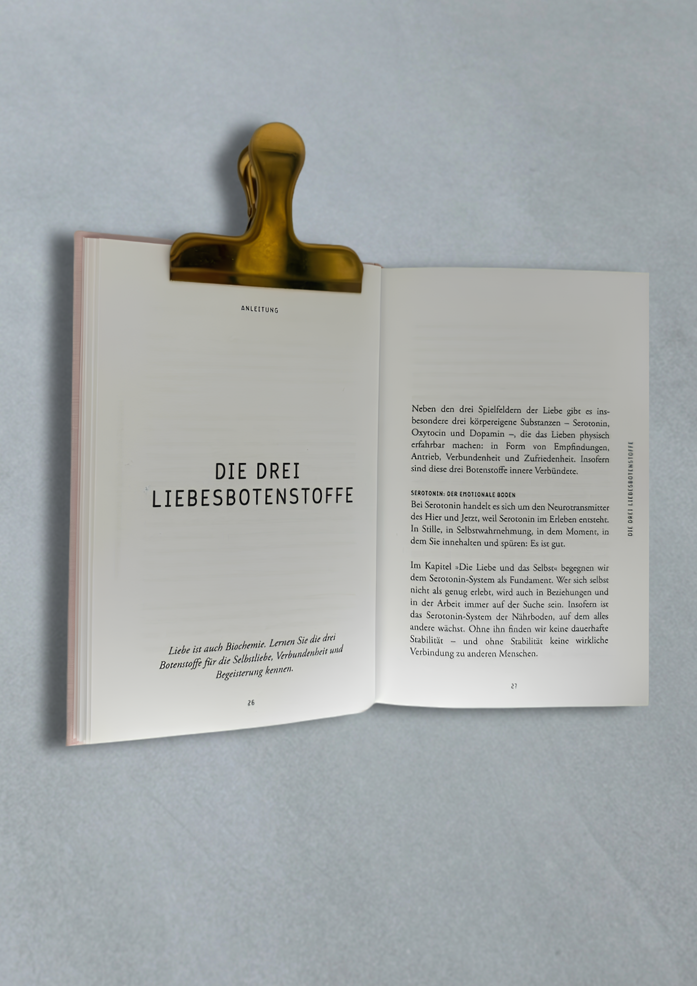 Buchcover Emotional Detox Love Edition von Laura Ritthaler – Ratgeber für Liebesintelligenz Aufgeschlagen