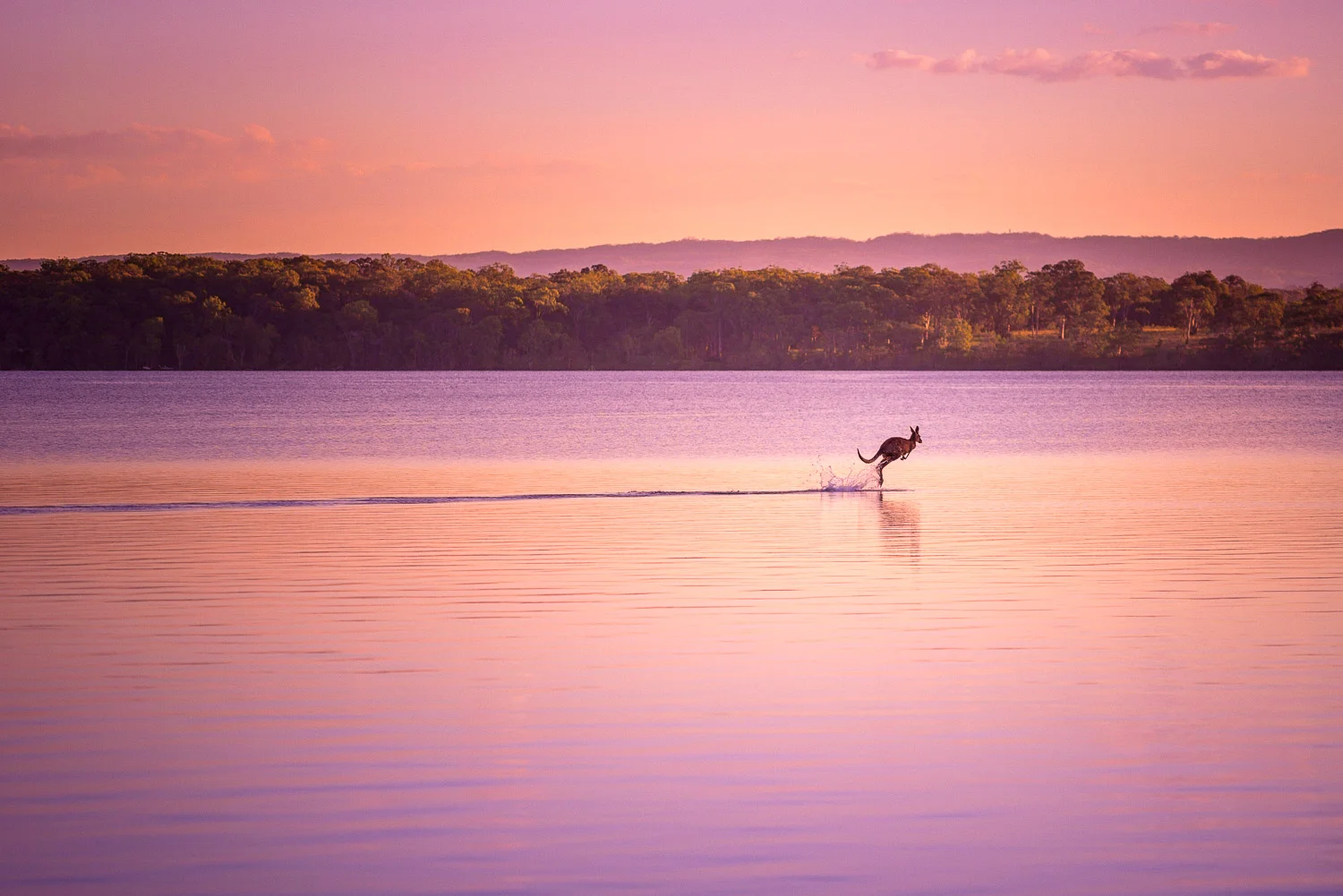 SUNSHINE COAST - QUEENSLAND - AUSTRALIA