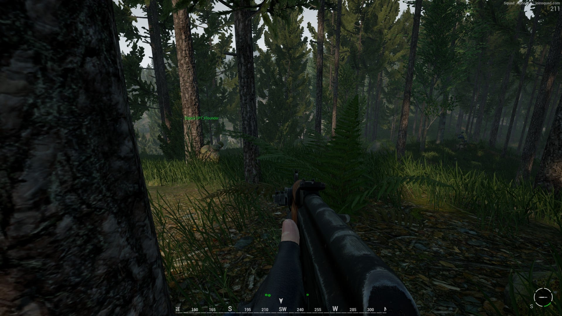 Trees are friends when bullets fly.