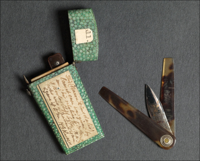 Lancet and case, the property of Thomas Dimsdale (1712–1800), said to have been used to inoculate Empress Catherine of Russia in 1768 Courtesy of the Hunterian Museum at the The Royal College of Surgeons 