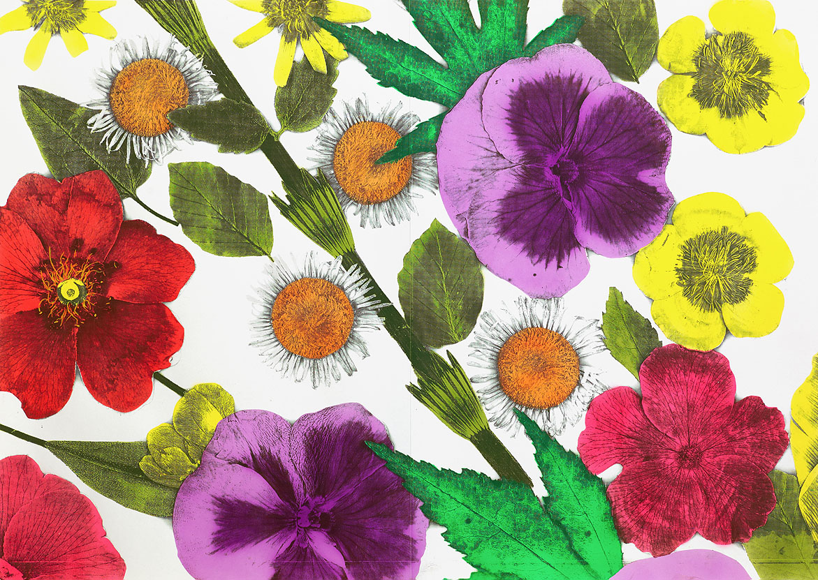 Floral-1-LG-blog.jpg