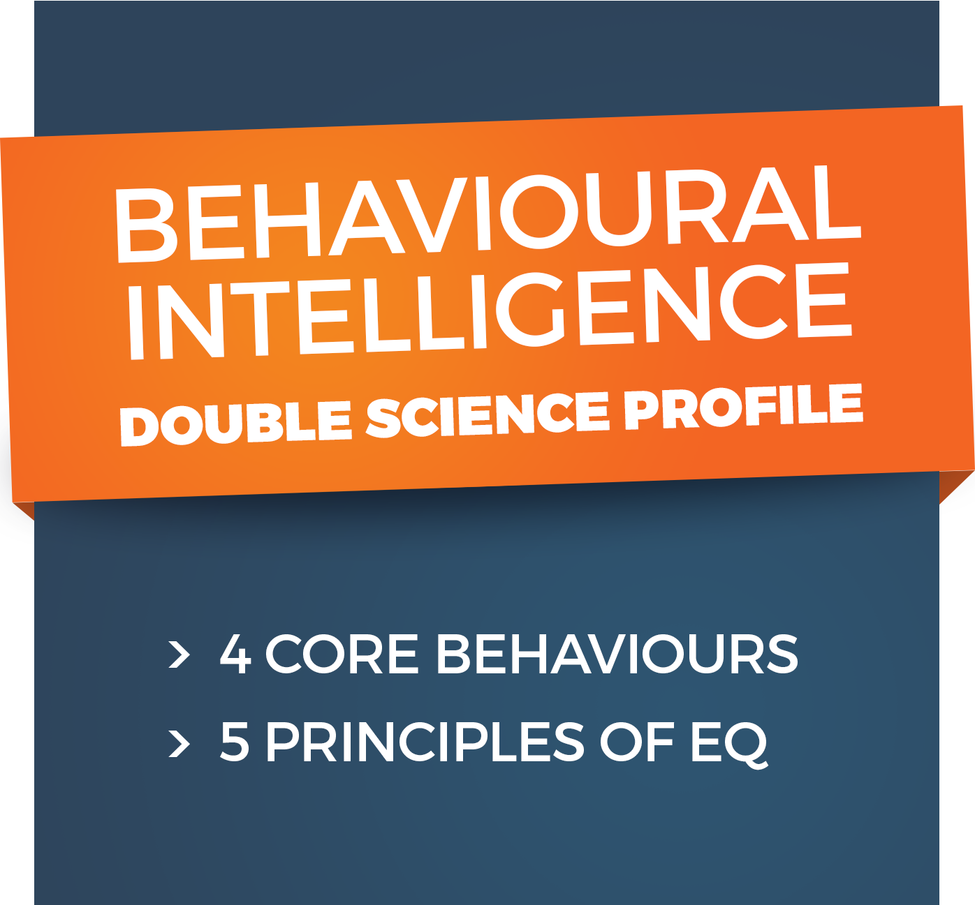 square-banners-bi2.png