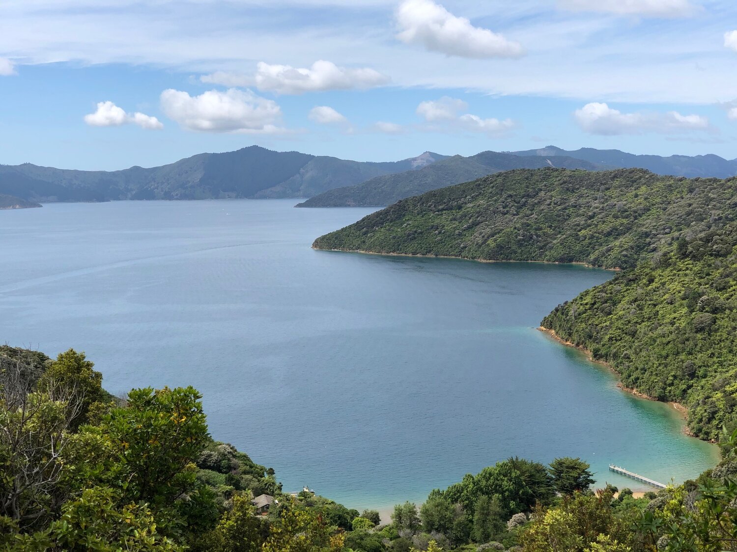 Resolution Bay, Queen Charlotte Sound.