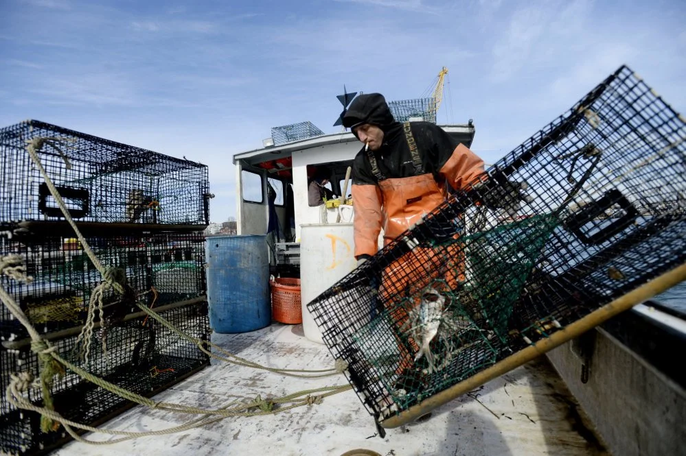A lobsterman working. Credit: Press Herald