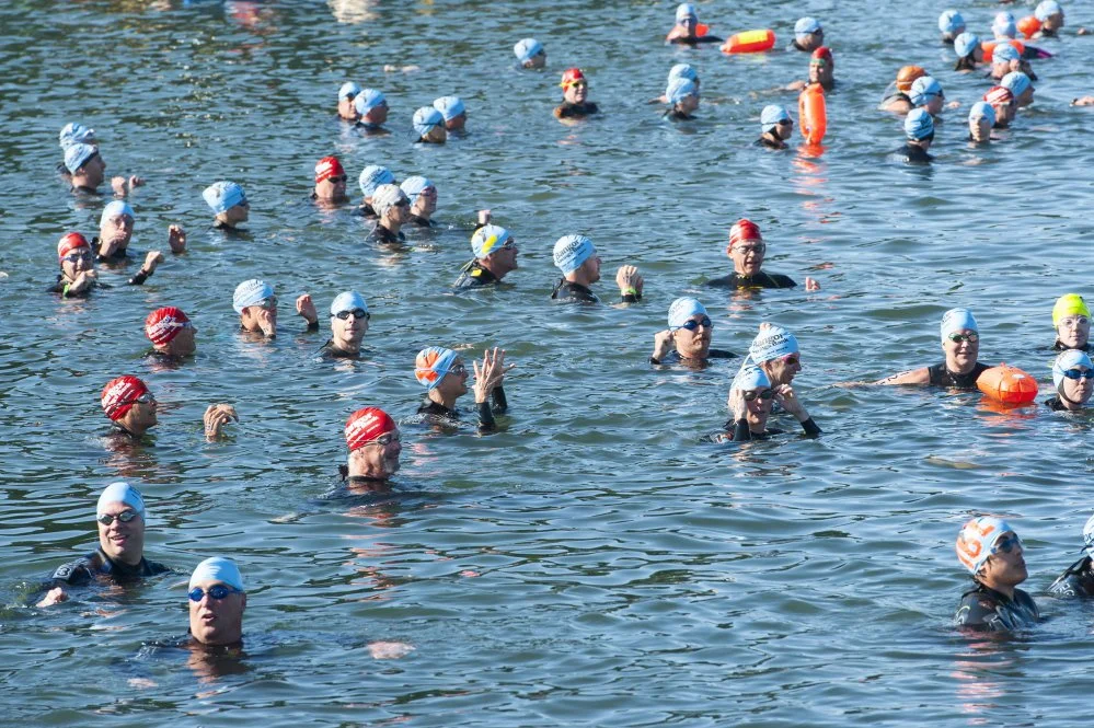 Swimmers in the Peaks to Portland Race. Photo Credit: Press Herald
